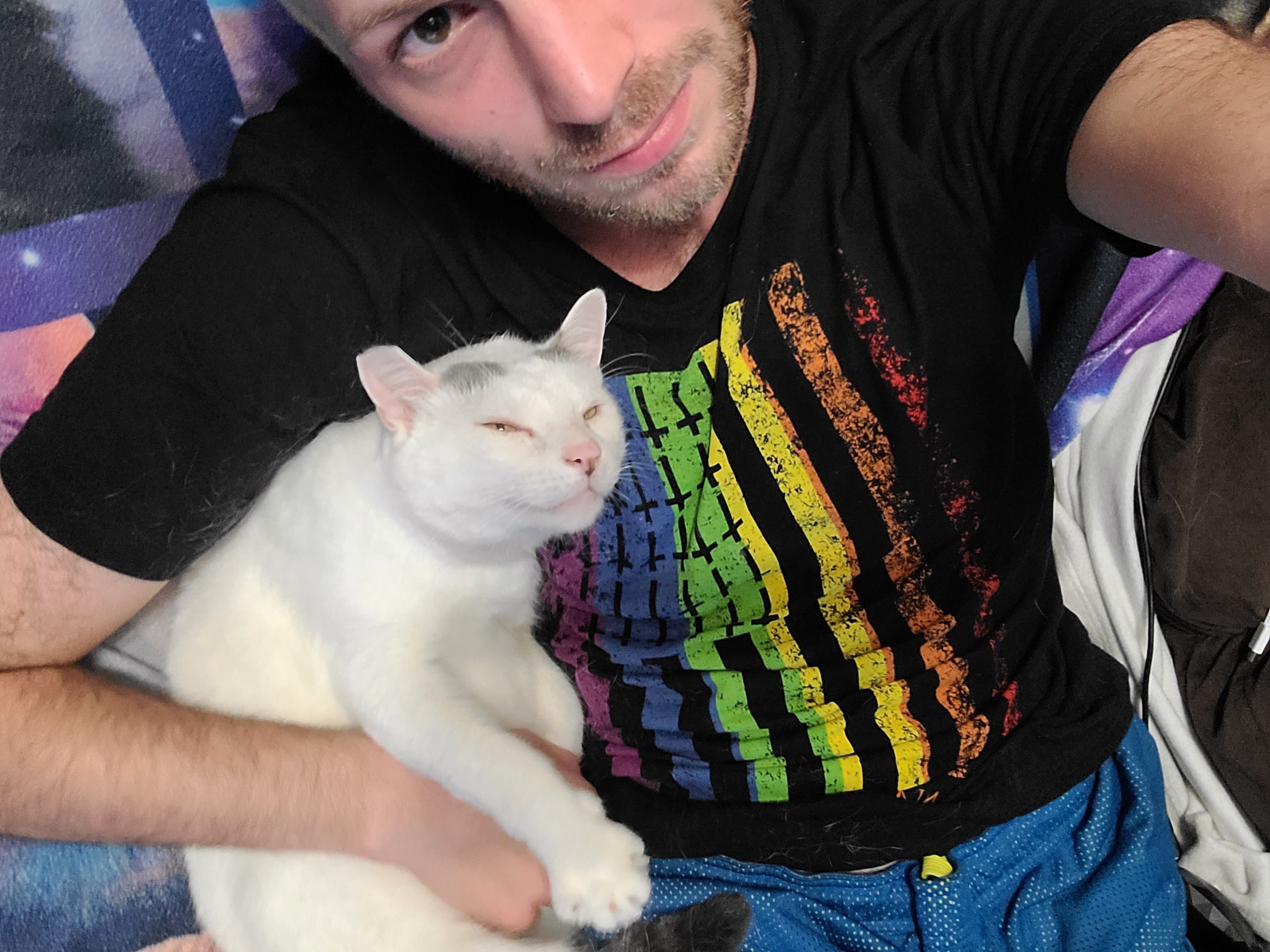 Help Me Cremate White Cat campaign photo, 2 of 7