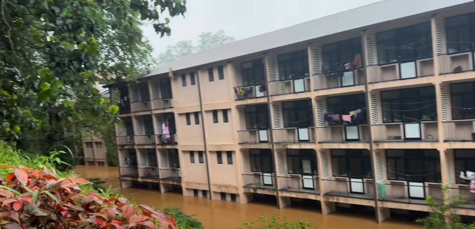 Rebuilding University of Peradeniya Post Cyclone "Ditwah" campaign photo, 6 of 8
