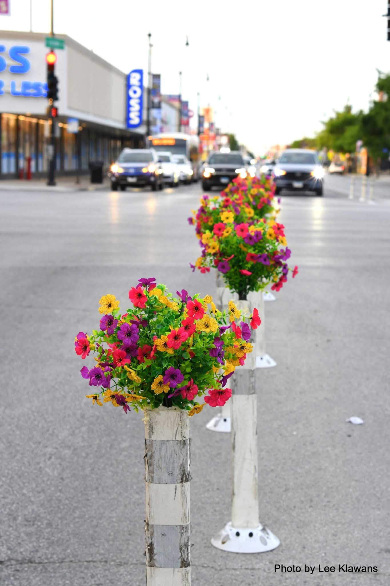 Beautify Six Corners with Artful Flowers campaign photo, 7 of 8