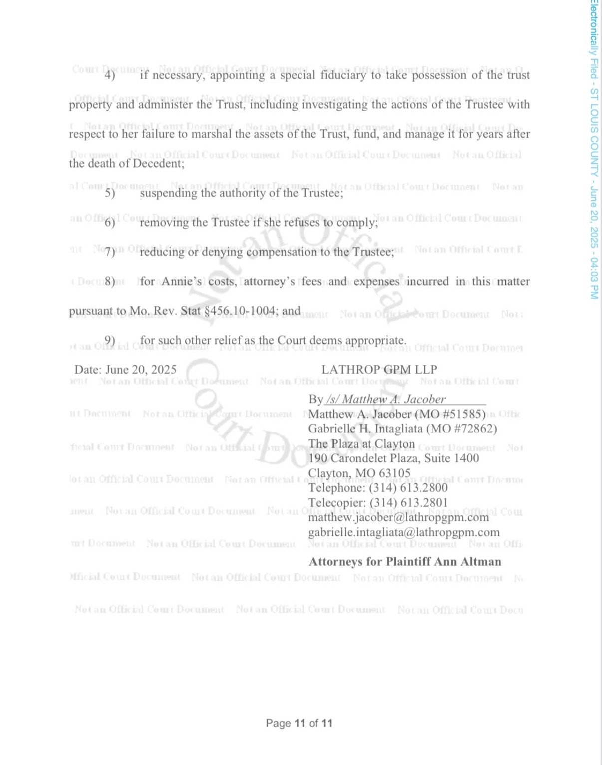Help Annie Get Legal Support To Defend Jerry Altman's Wishes campaign photo, 4 of 8