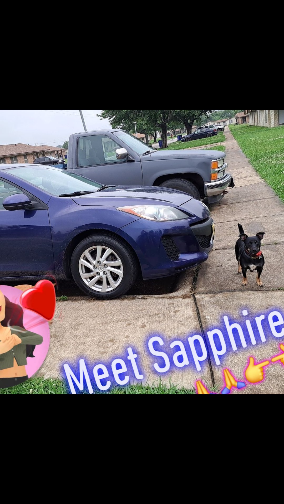Sapphire needs your HELP  photo