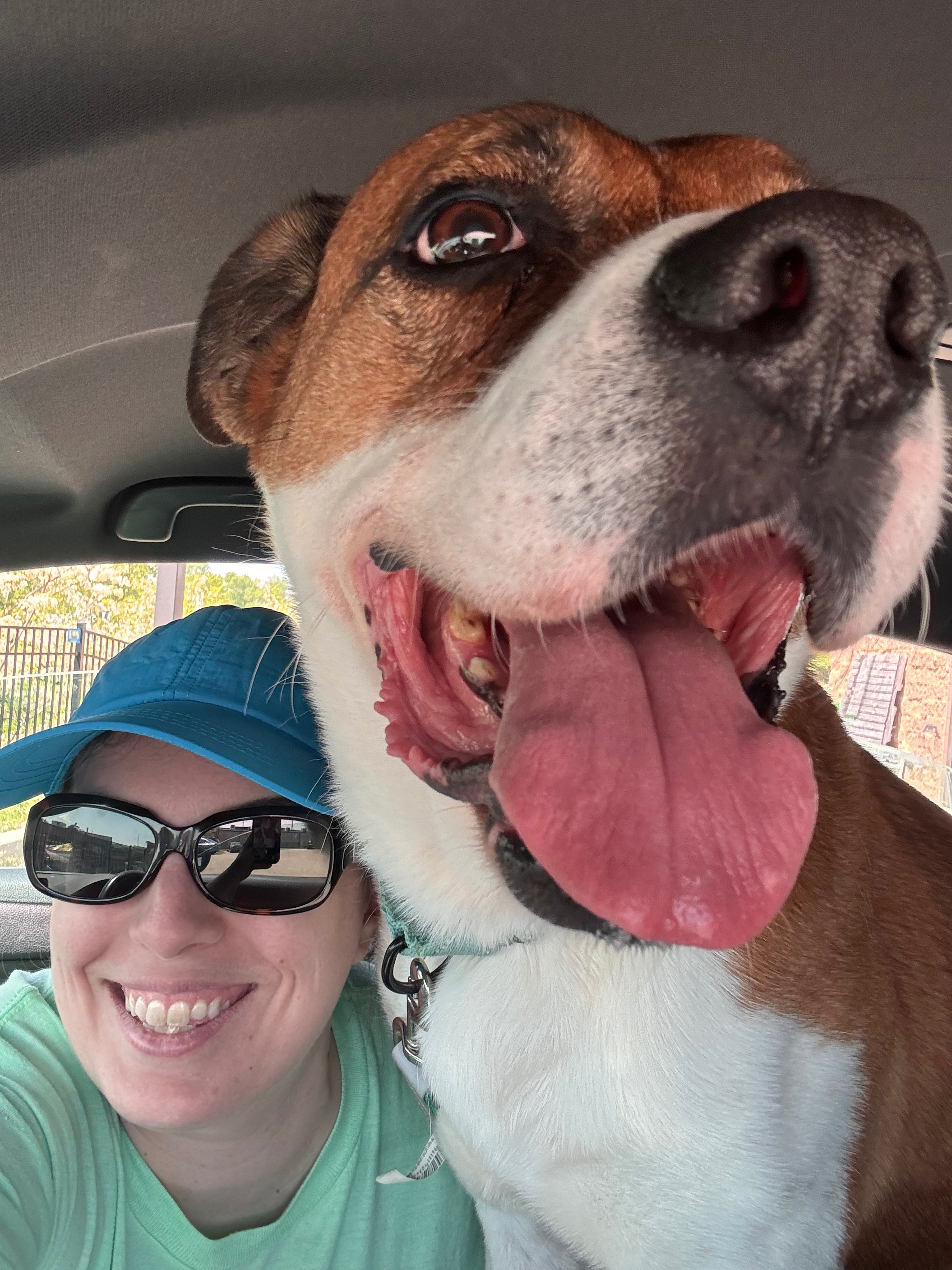 Help Elizabeth Become a Certified Dog Trainer campaign photo, 5 of 6