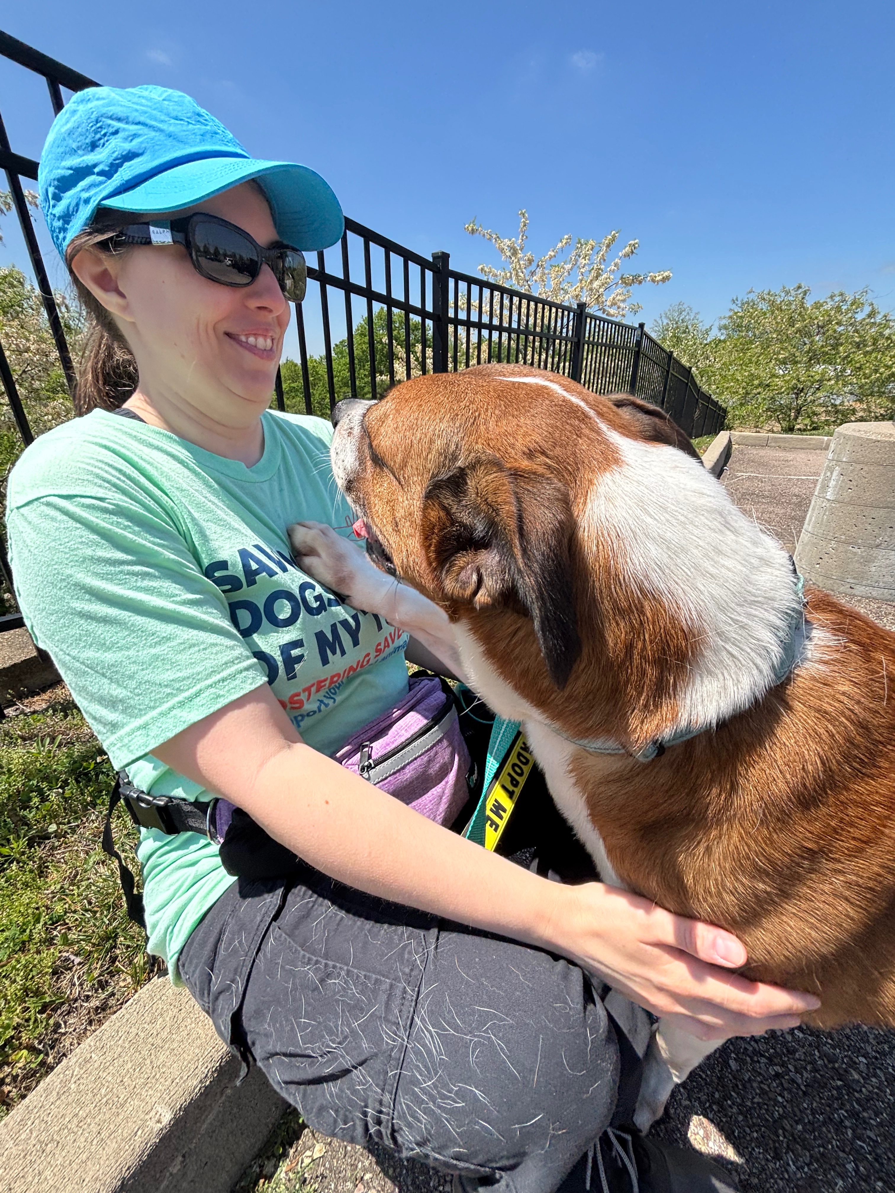 Help Elizabeth Become a Certified Dog Trainer campaign photo, 4 of 6