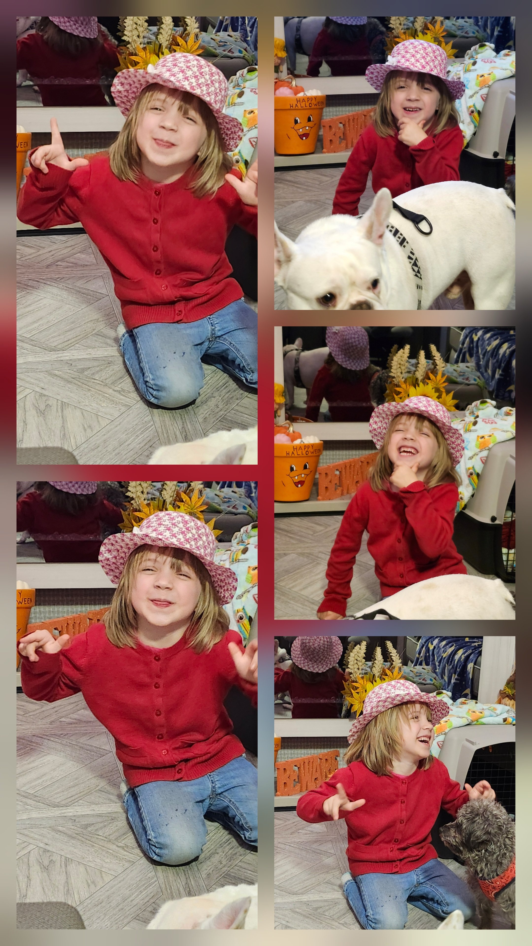 Help Hadleigh Get a Wheelchair Accessible Van campaign photo, 5 of 8
