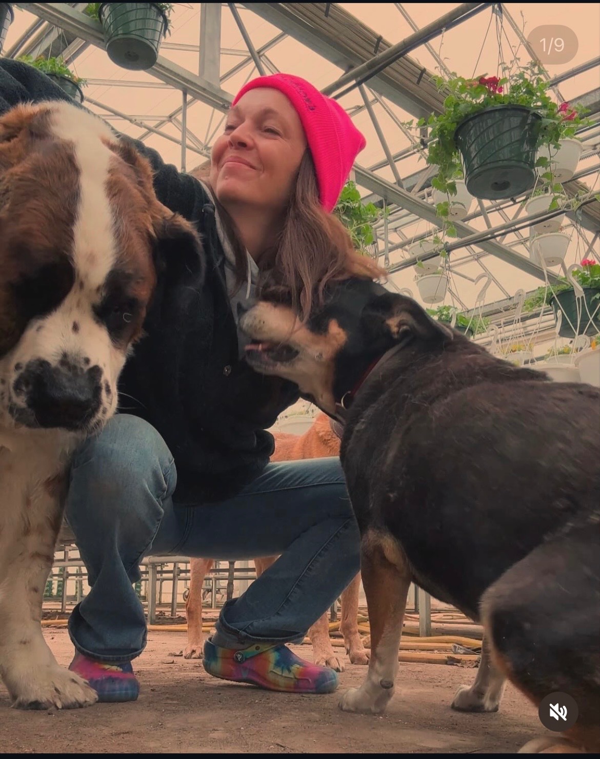 Fundraiser for Nicole Norton by kim rauch : Support Nicole Through Her ...