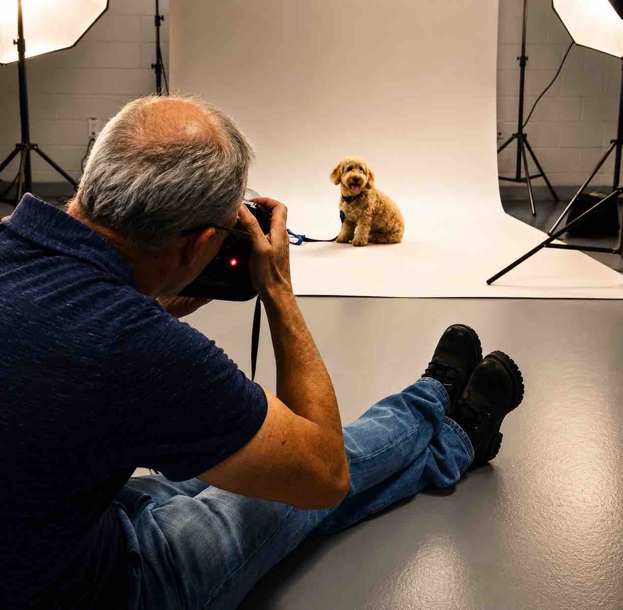 Build A Safe Haven For Millie & Sadie campaign photo, 4 of 8