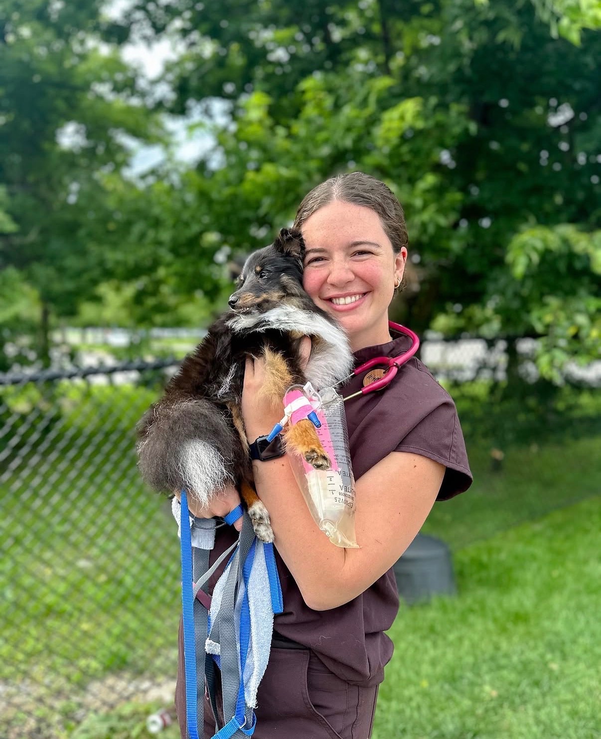Help Me Achieve My Dream of Becoming a Veterinarian campaign photo, 7 of 8