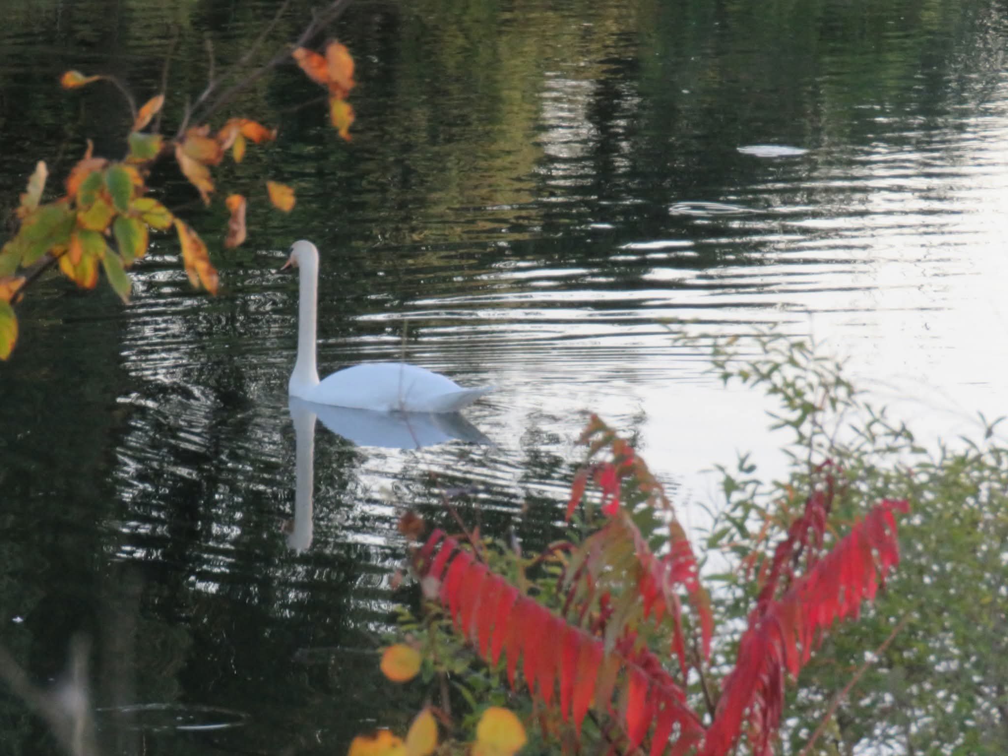 Support Martha’s Nature Photography Journeys campaign photo, 5 of 8