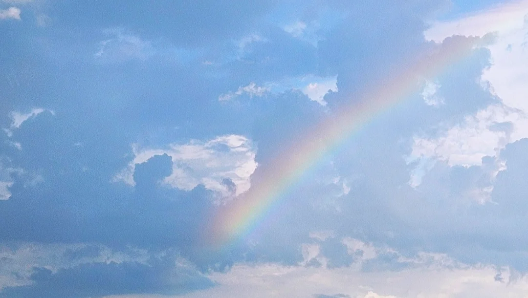 Help a trans man in Texas with essential needs and safety photo