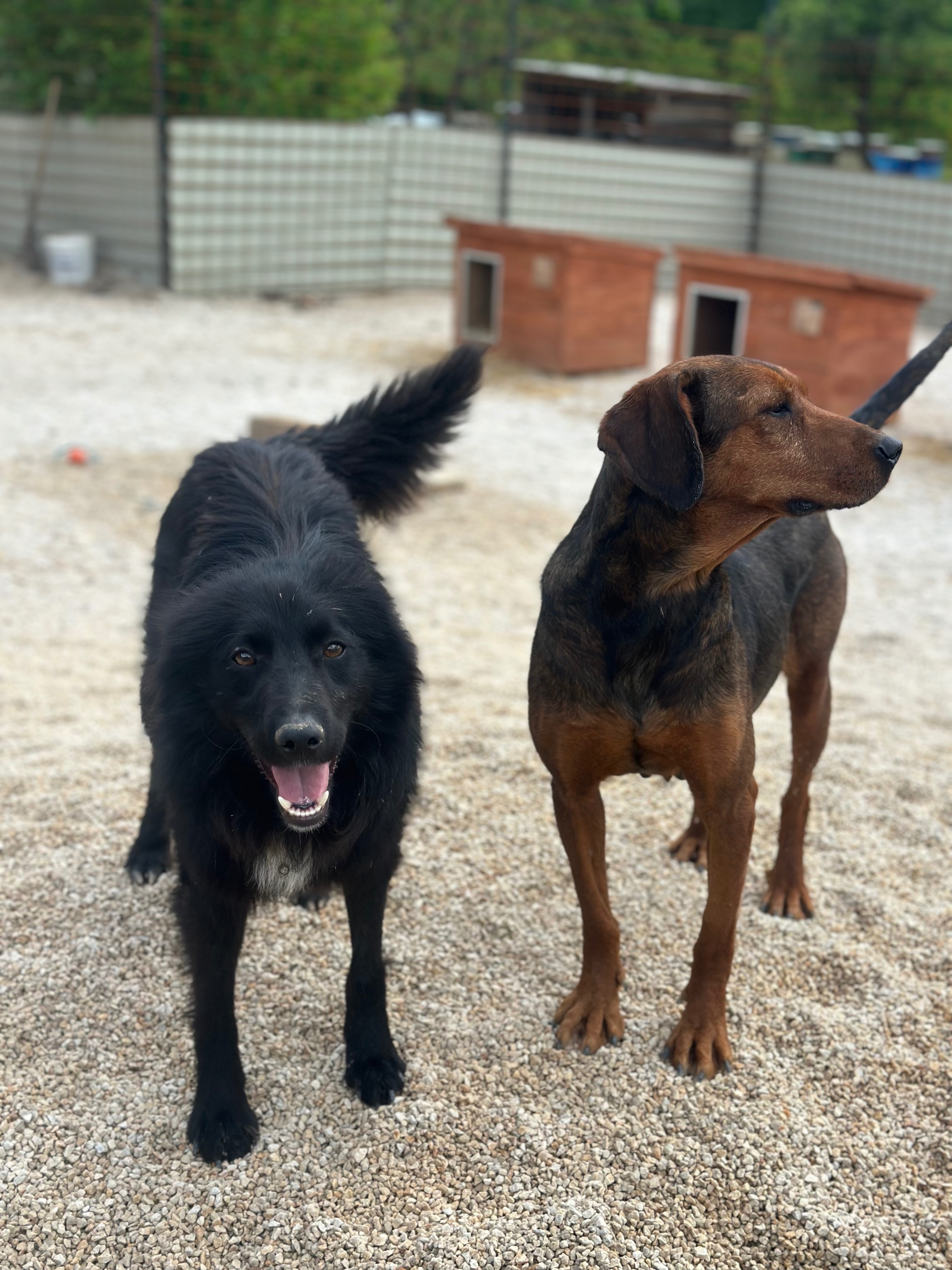 Kampagnen-Foto für ❤️ Herzensprojekt ❤️Ein Ort der Hoffnung und Erholung ❤️, 2 von 9