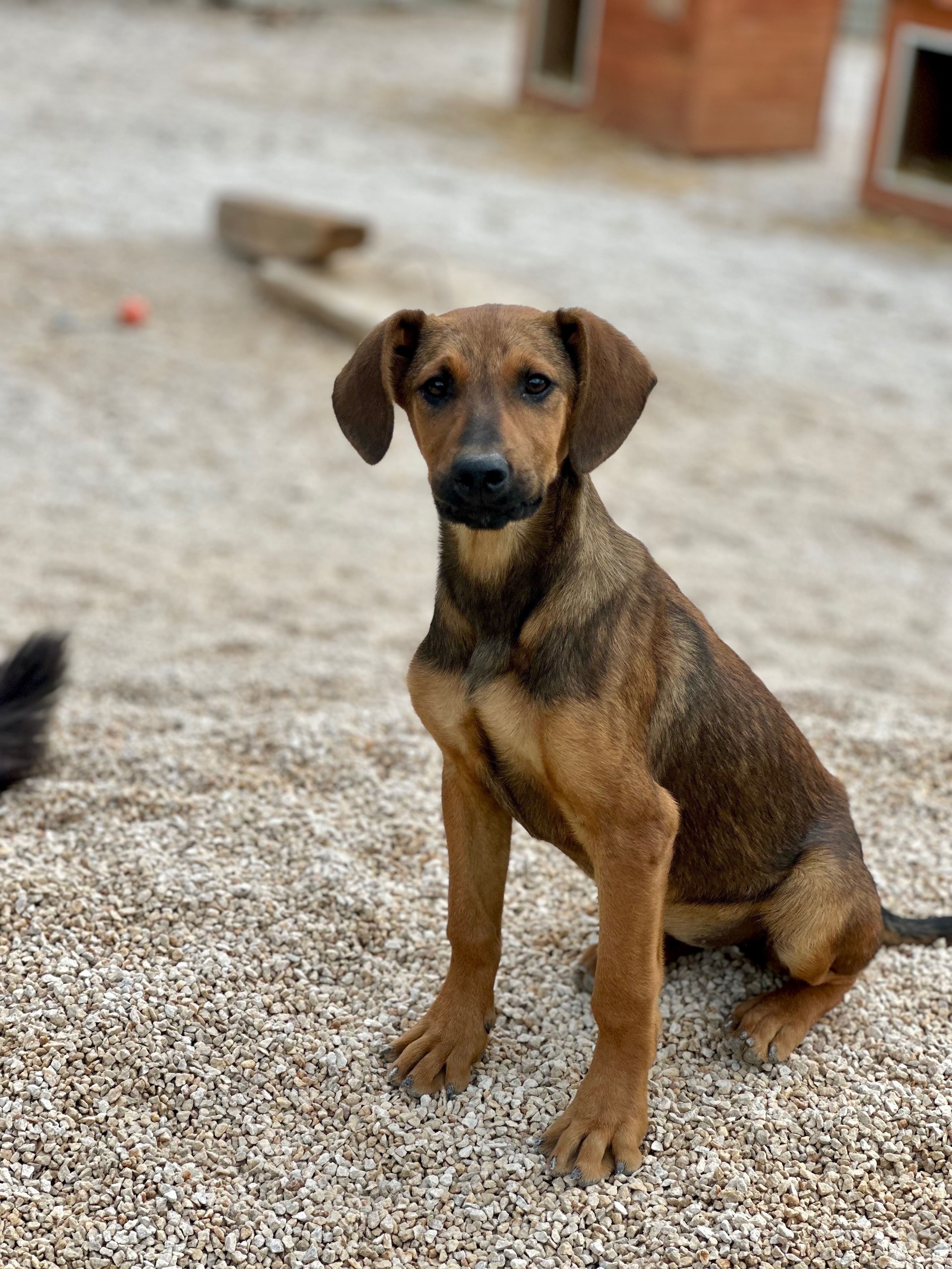 Kampagnen-Foto für ❤️ Herzensprojekt ❤️Ein Ort der Hoffnung und Erholung ❤️, 4 von 9