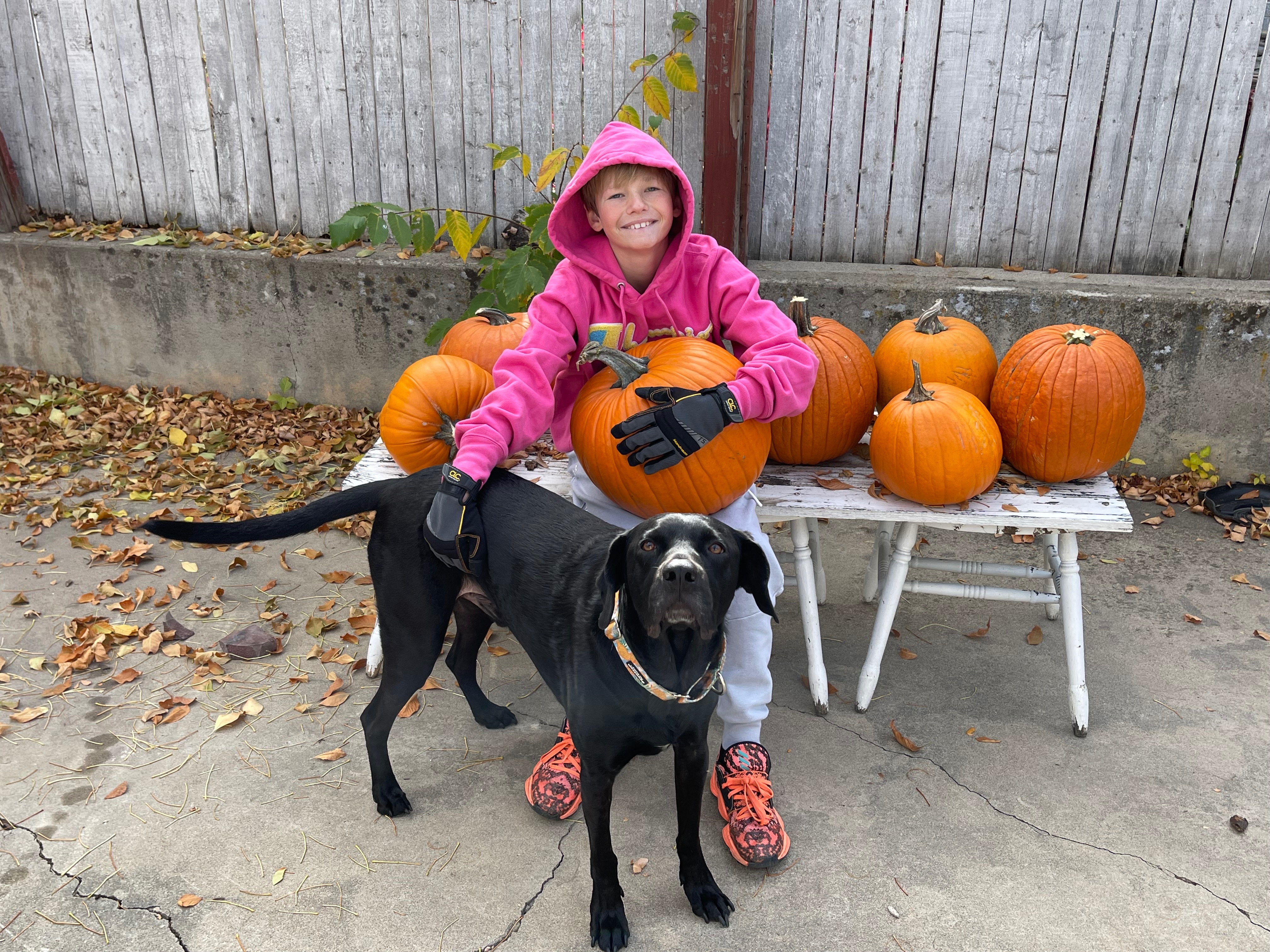 Fundraiser for Ashley Rainer by Brooke Billmaier : Support Rocket Ralph ...