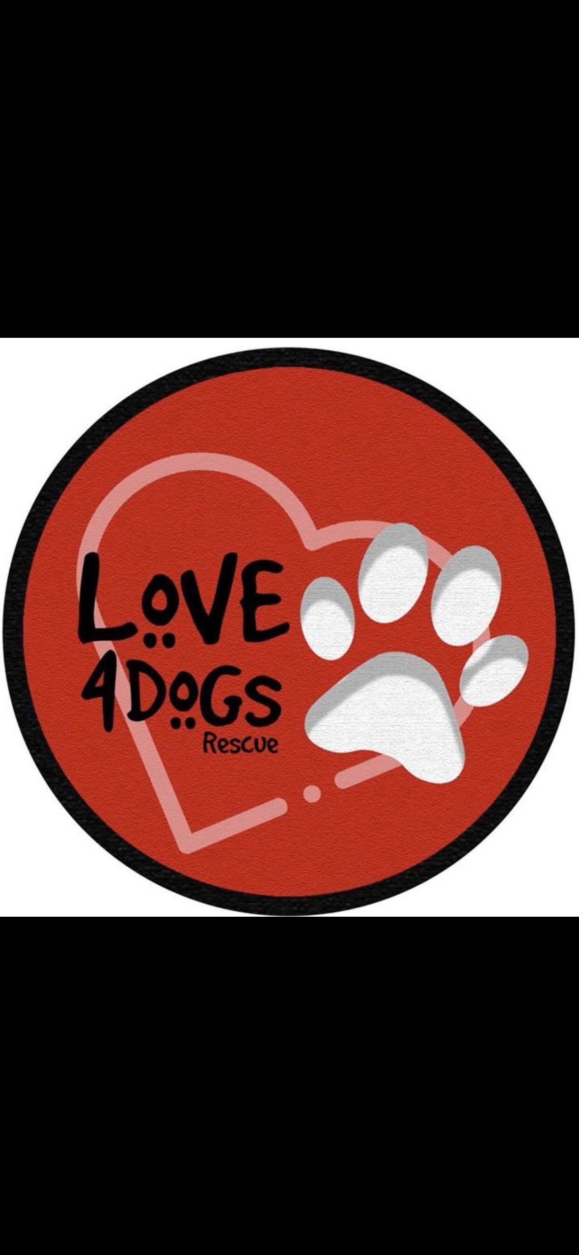 Love4Dogs Rescue campaign photo, 2 of 5