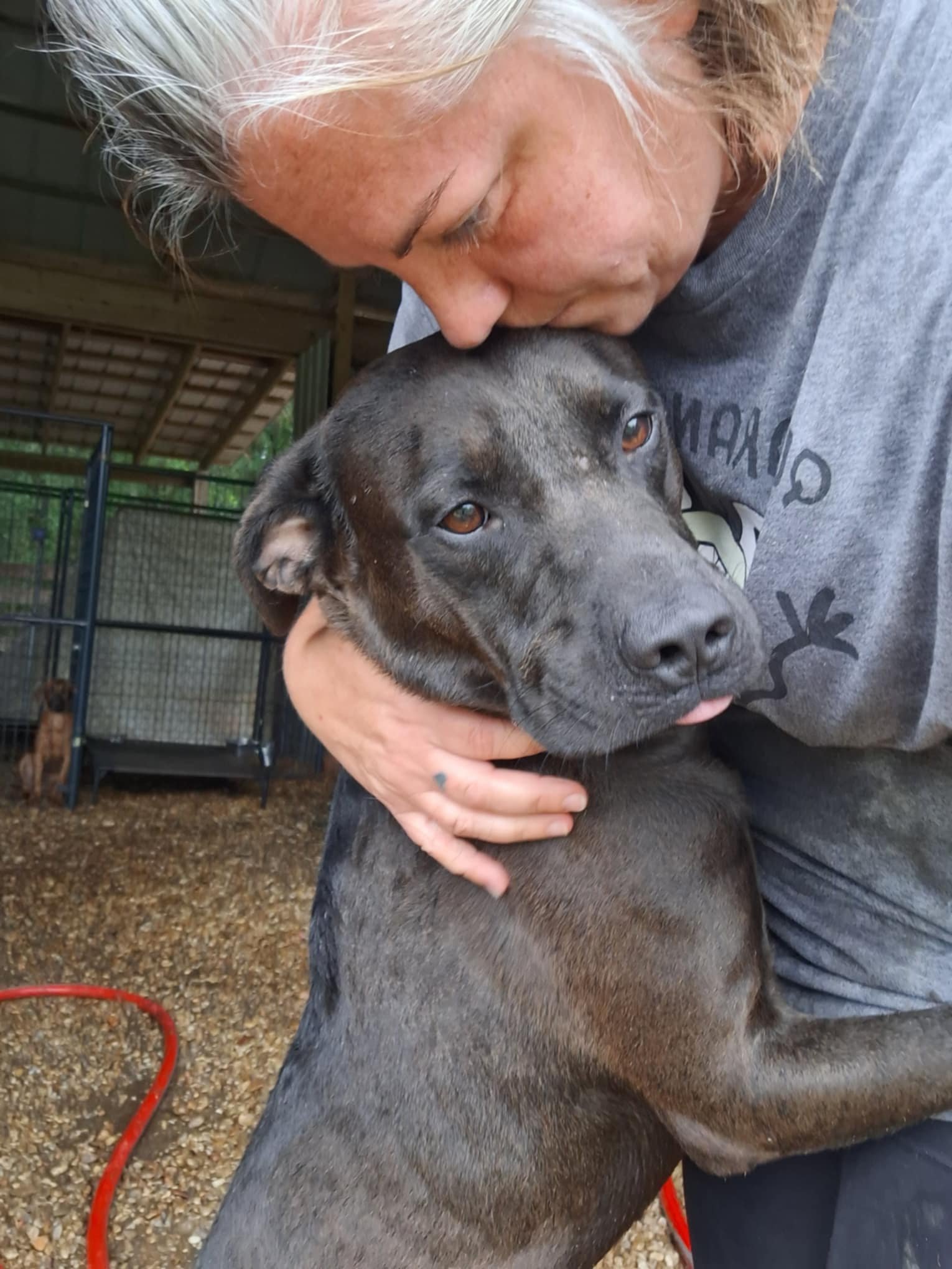 Save the Farm & Give Animals a Second Chance campaign photo, 4 of 8