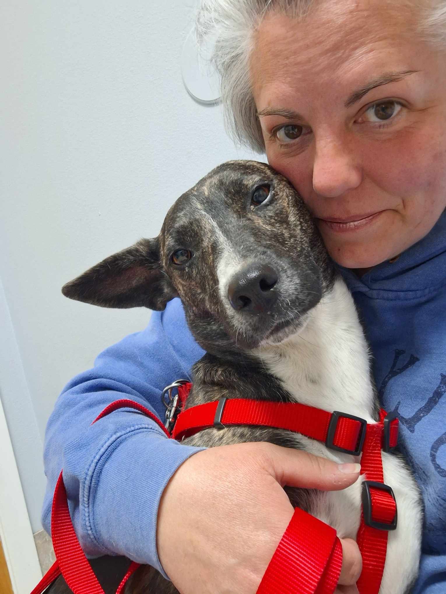 Save the Farm & Give Animals a Second Chance campaign photo, 6 of 8