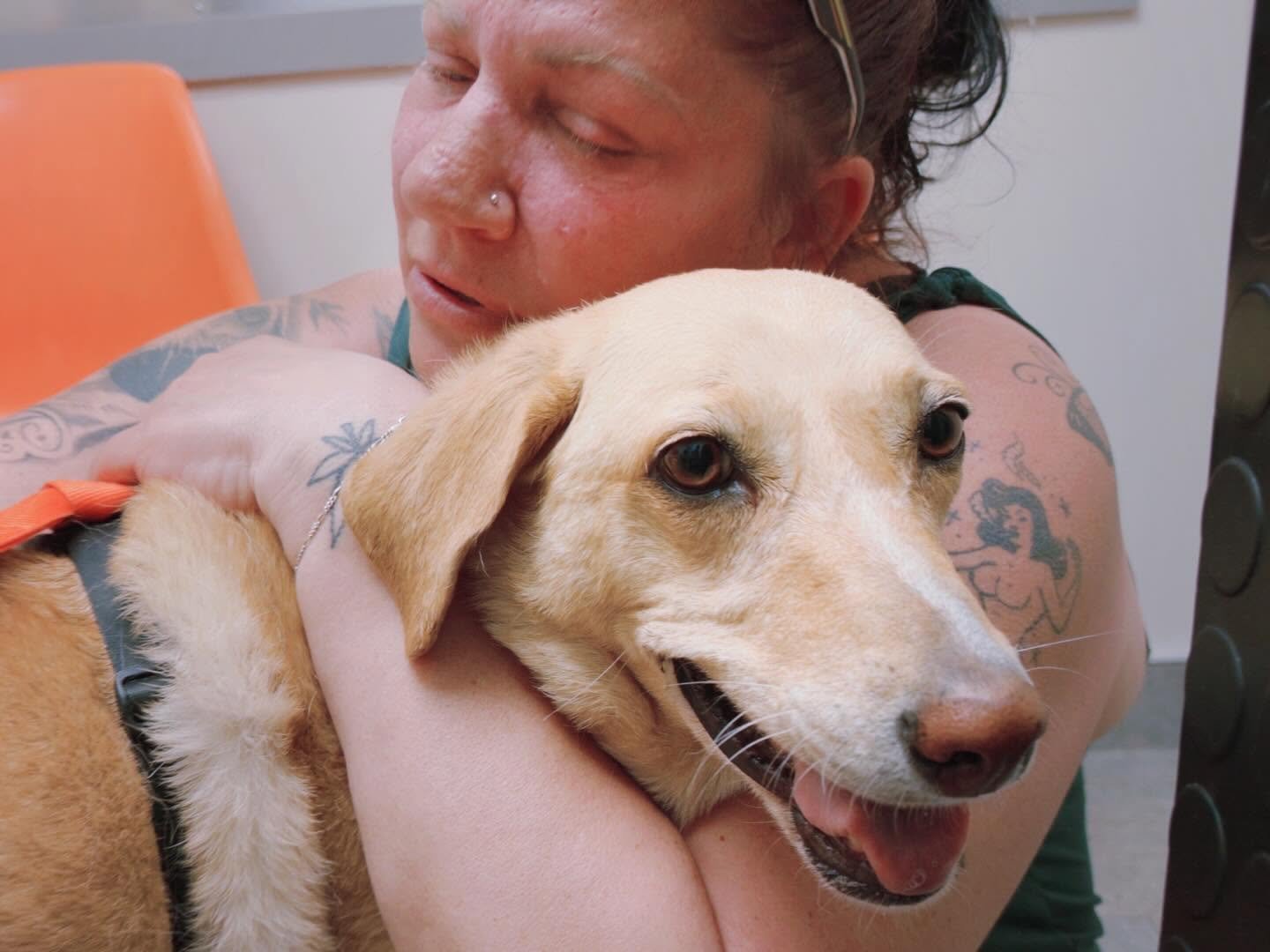Our Dog Walking Family Doggin Around Needs Our help for Bea campaign photo, 4 of 8