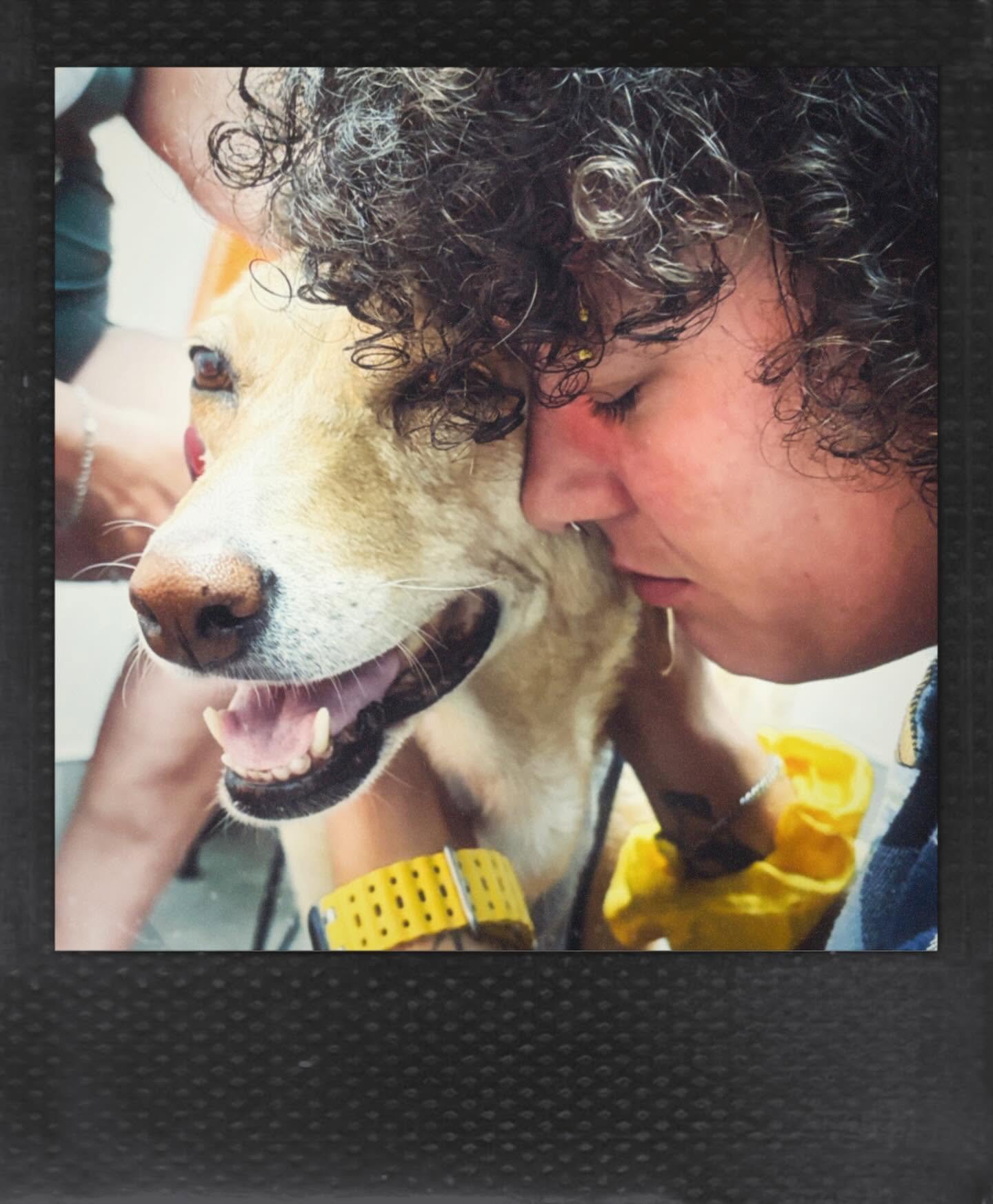 Our Dog Walking Family Doggin Around Needs Our help for Bea campaign photo, 5 of 8