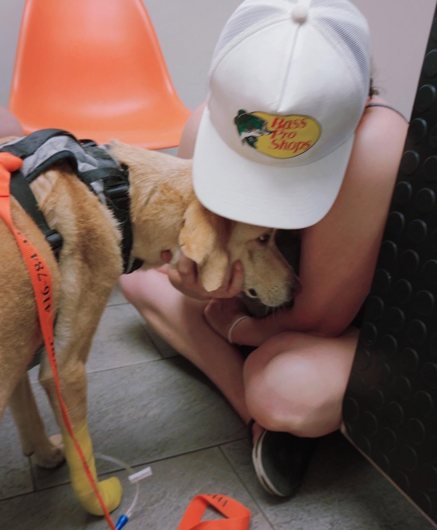 Our Dog Walking Family Doggin Around Needs Our help for Bea campaign photo, 6 of 8