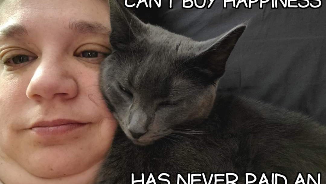 Support Meso: A Cancer Survivor’s Therapy Cat photo