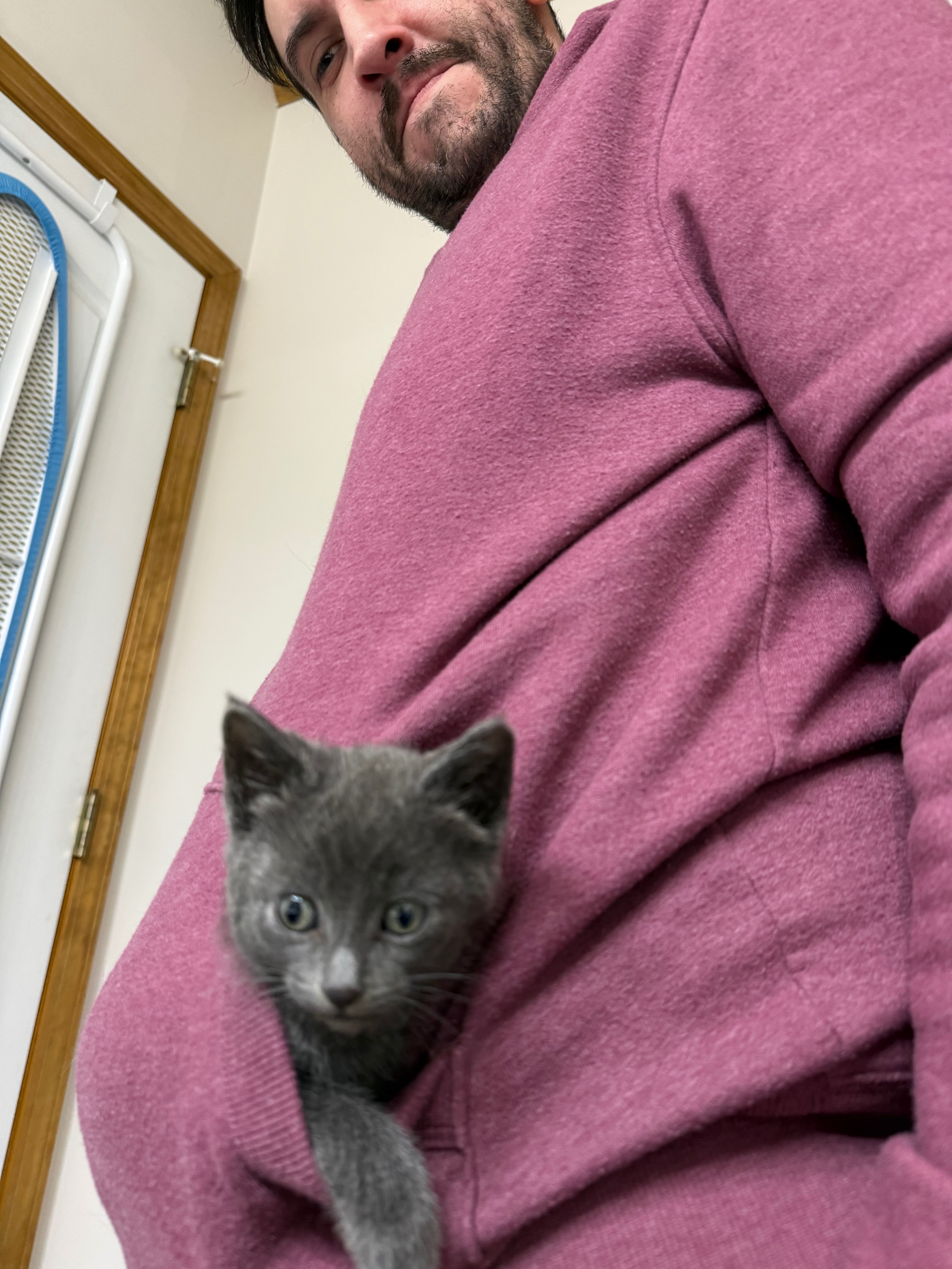 Care for Loki: From Rescue to Recovery campaign photo, 2 of 8