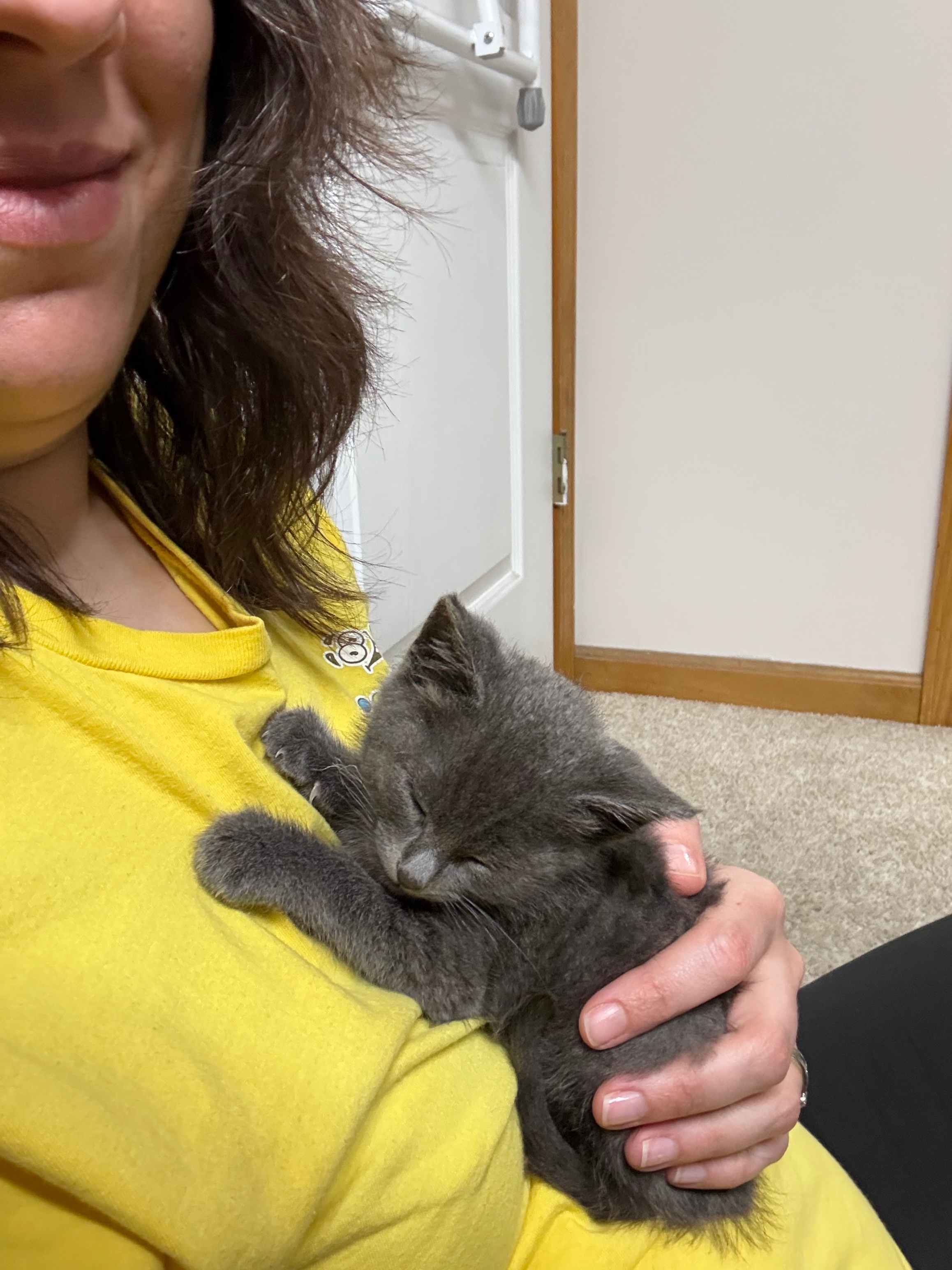 Care for Loki: From Rescue to Recovery campaign photo, 4 of 8