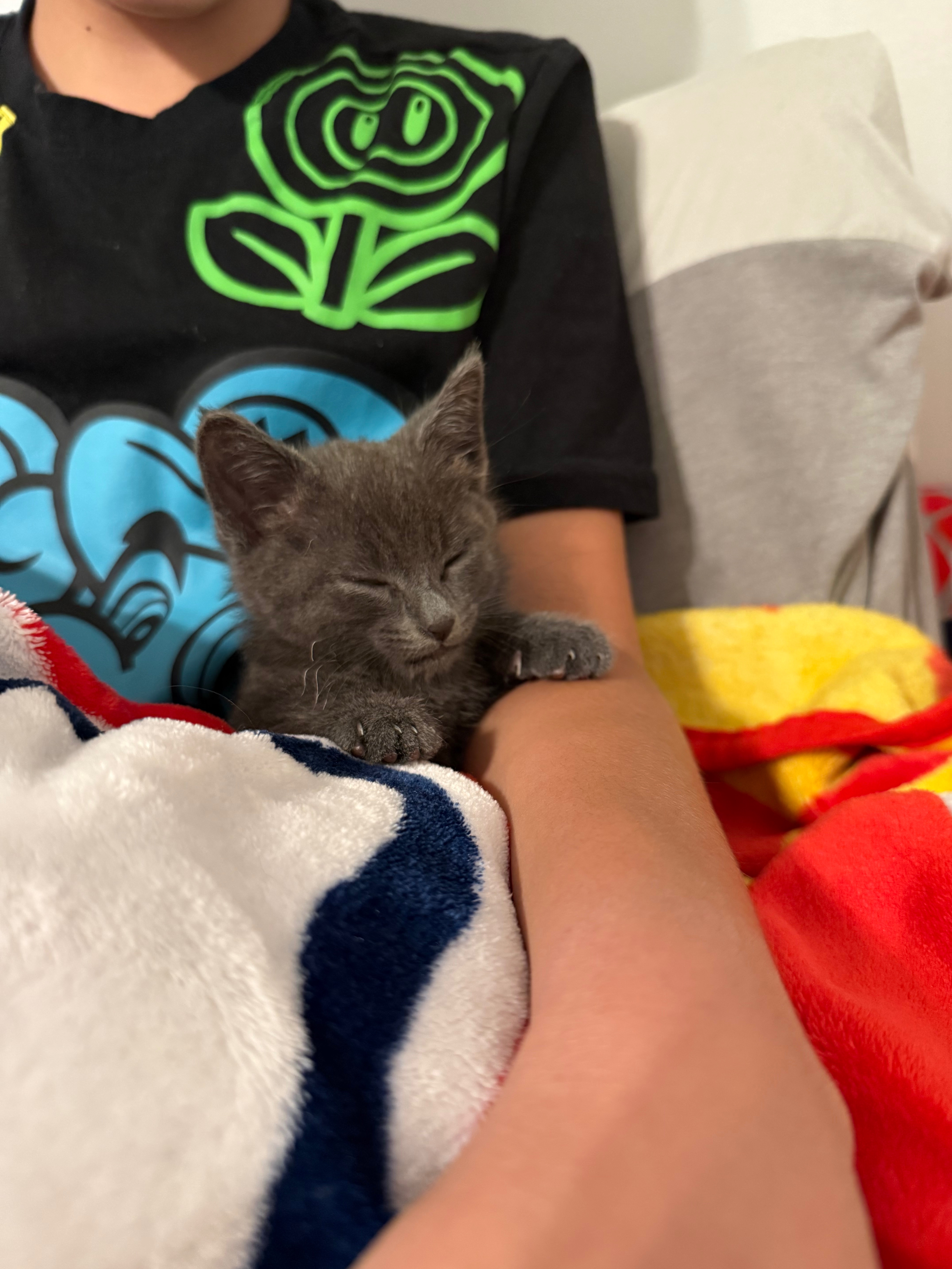 Care for Loki: From Rescue to Recovery campaign photo, 5 of 8