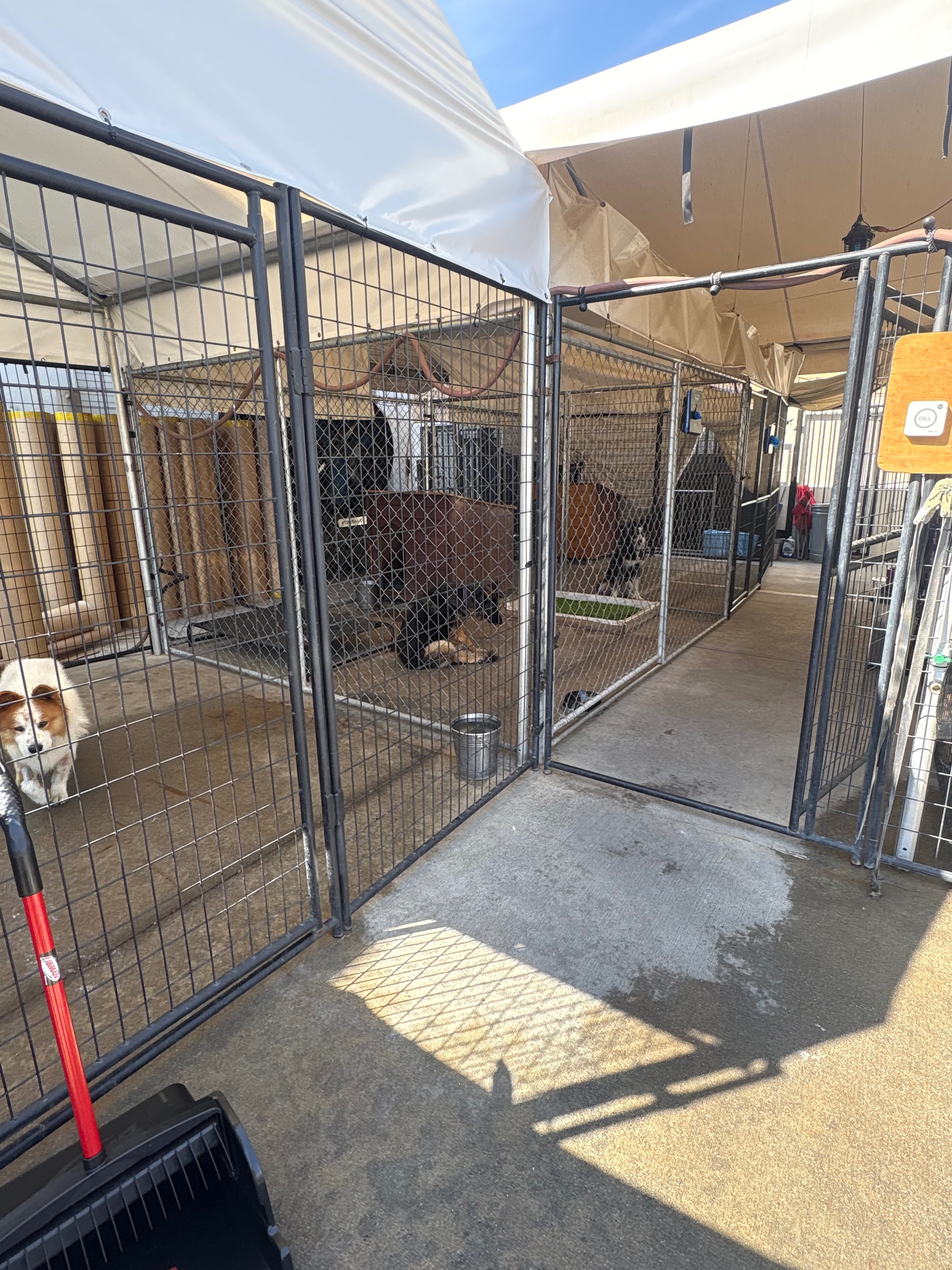 Support Pet Rescue Solutions' Urgent Relocation campaign photo, 2 of 7