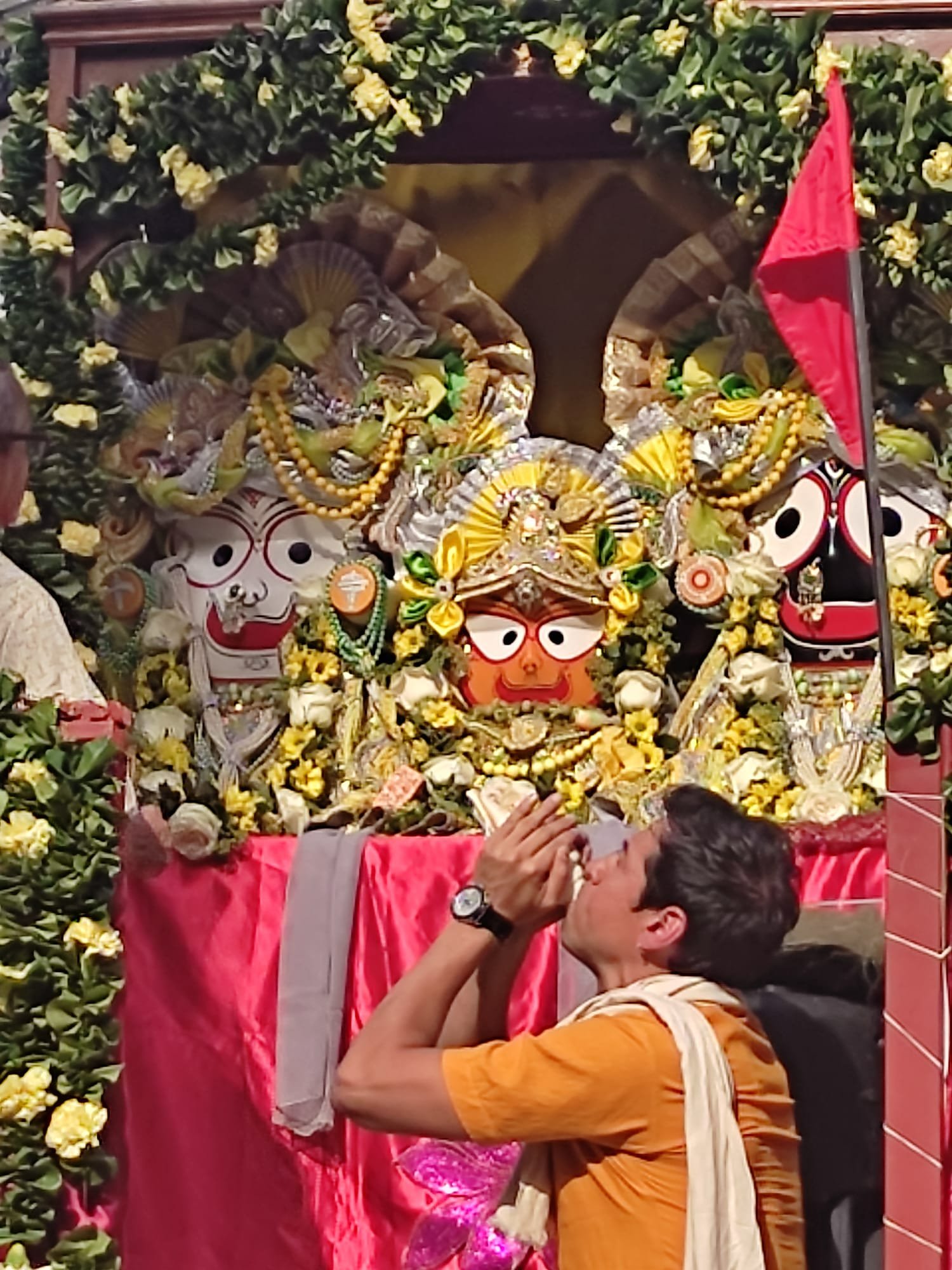 Festival Ratha Yatra Madrid 2026 campaign photo, 5 of 6