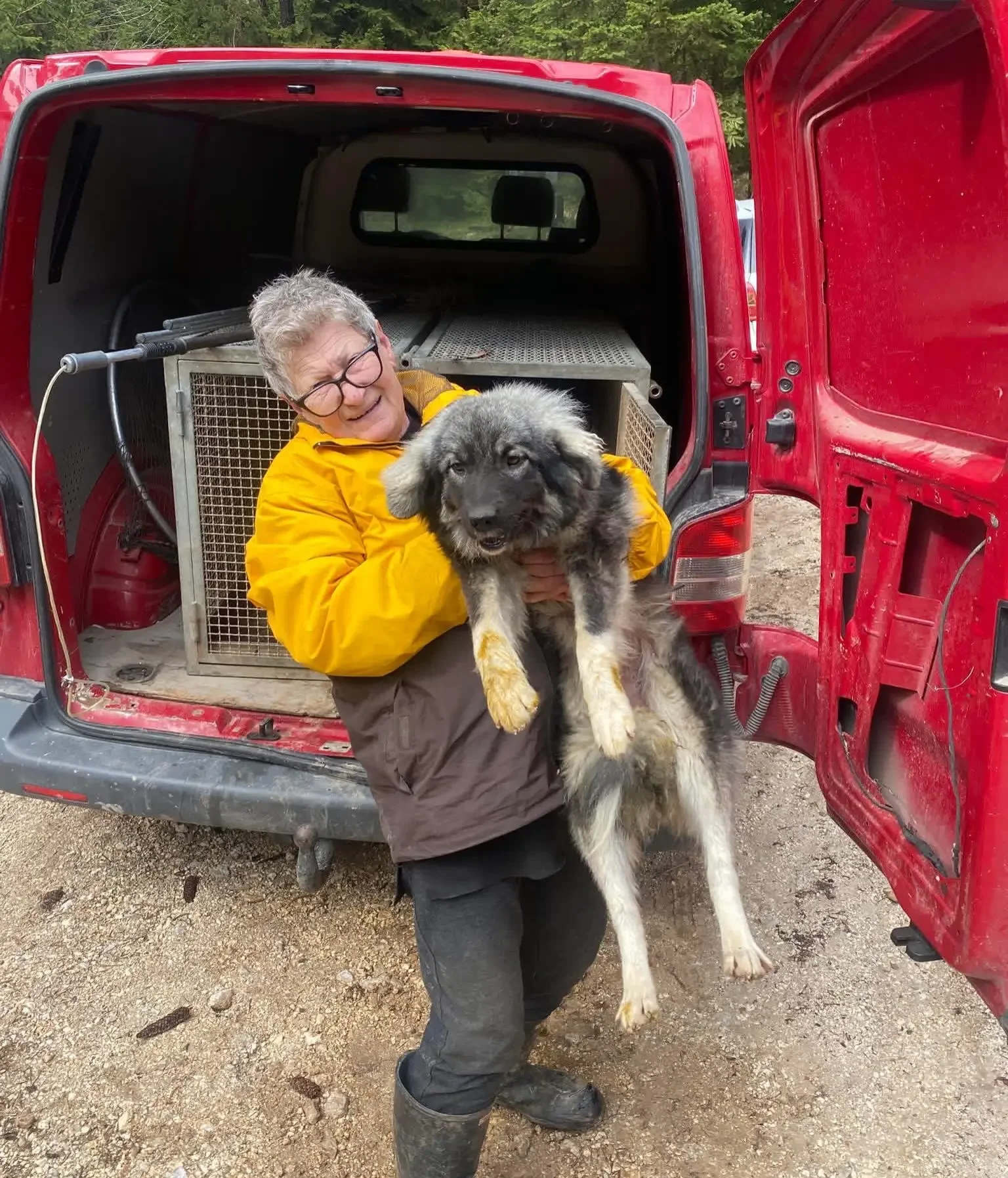Support Milena’s Lifesaving Dog Rescue in Sarajevo campaign photo, 2 of 7