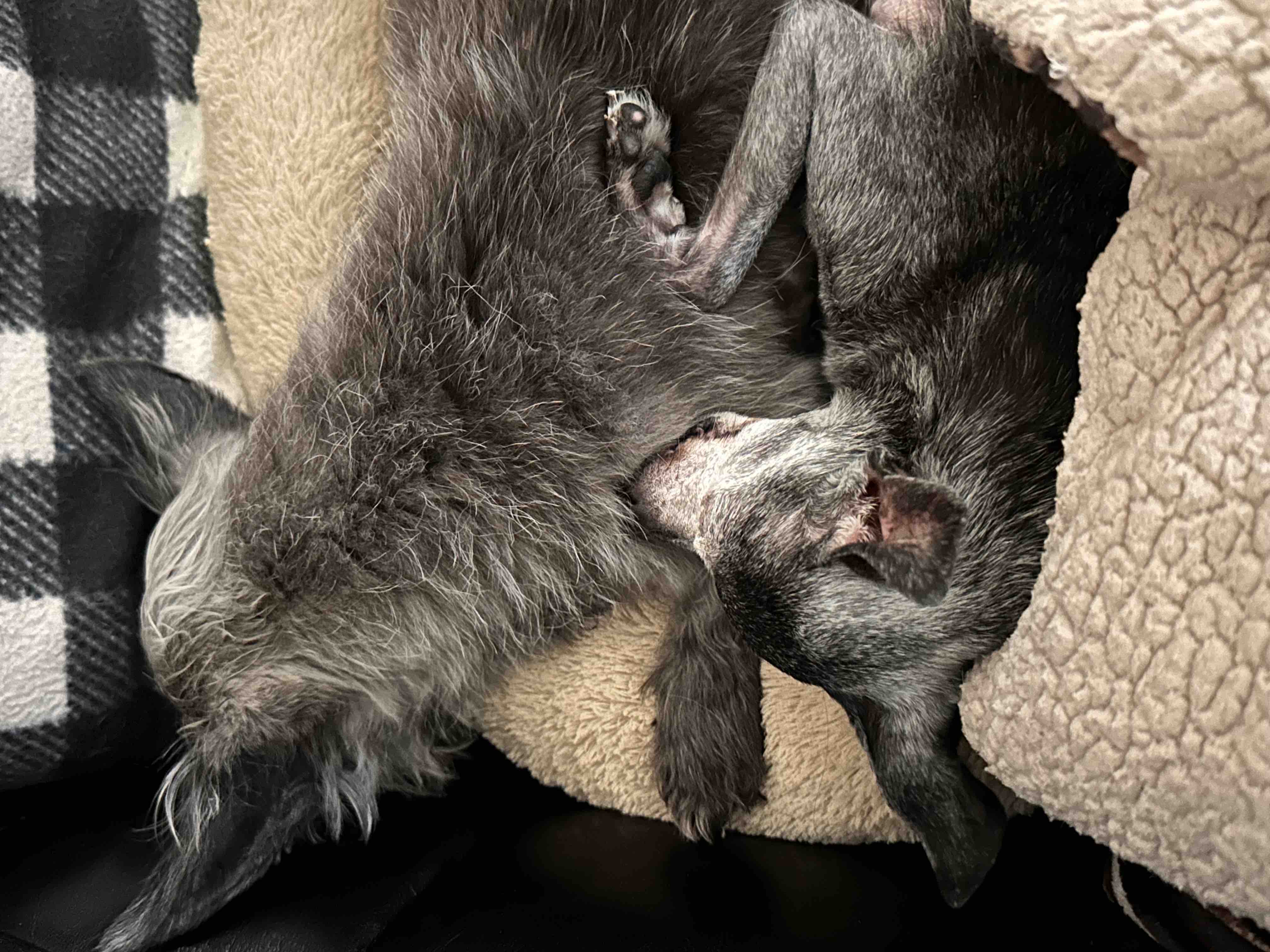 Help me bridge the gap while I recover campaign photo, 8 of 10