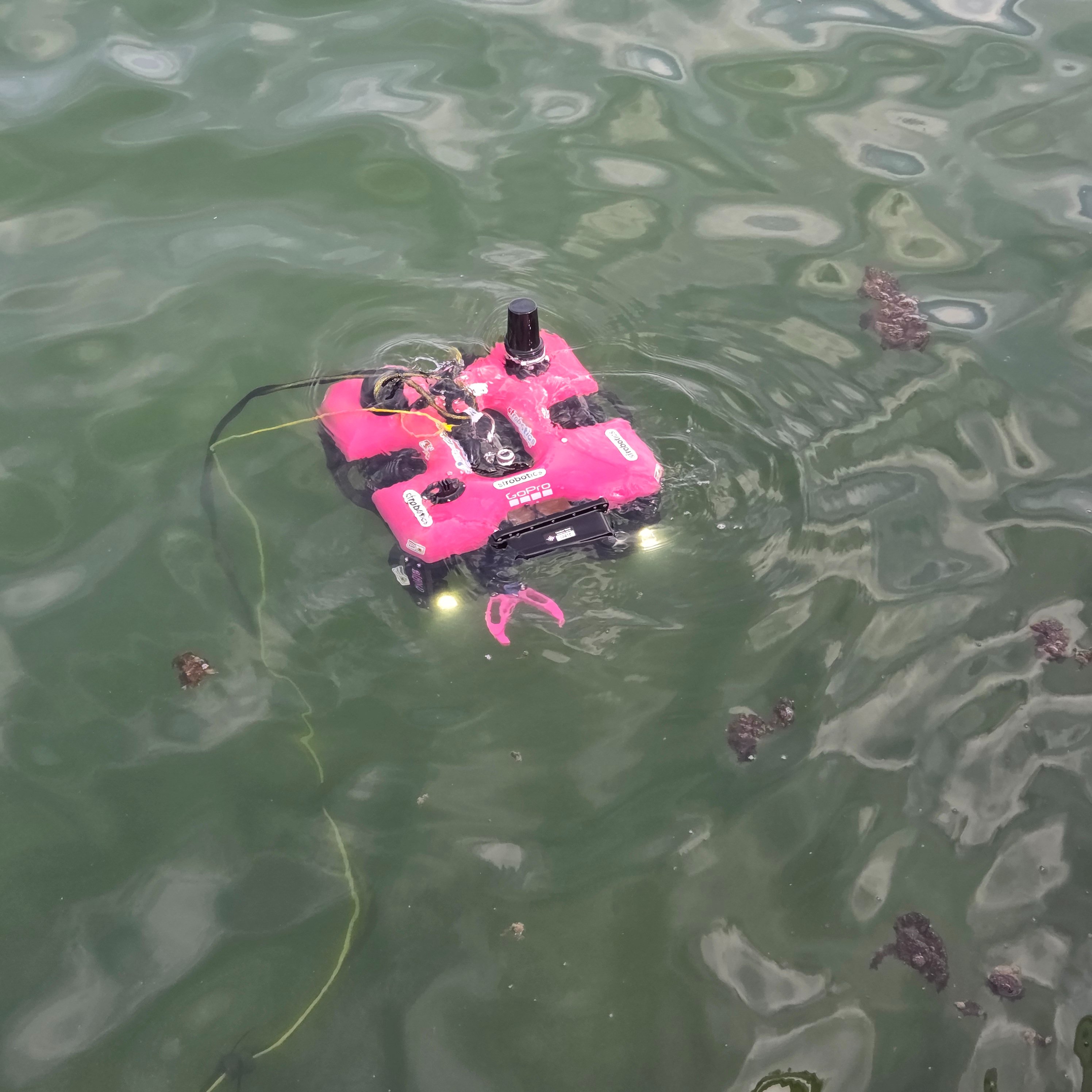 Help PINKrov Students Explore Underwater campaign photo, 4 of 7