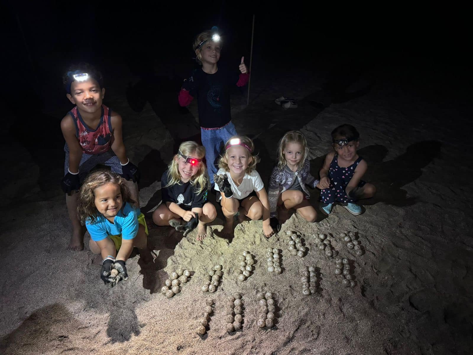 Donate to help the Turtles of Sayulita! 2026-2027 Season campaign photo, 2 of 8
