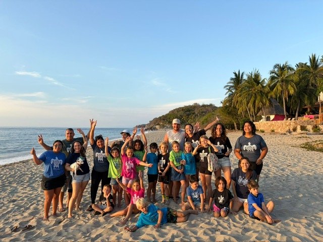 Donate to help the Turtles of Sayulita! 2026-2027 Season campaign photo, 6 of 8