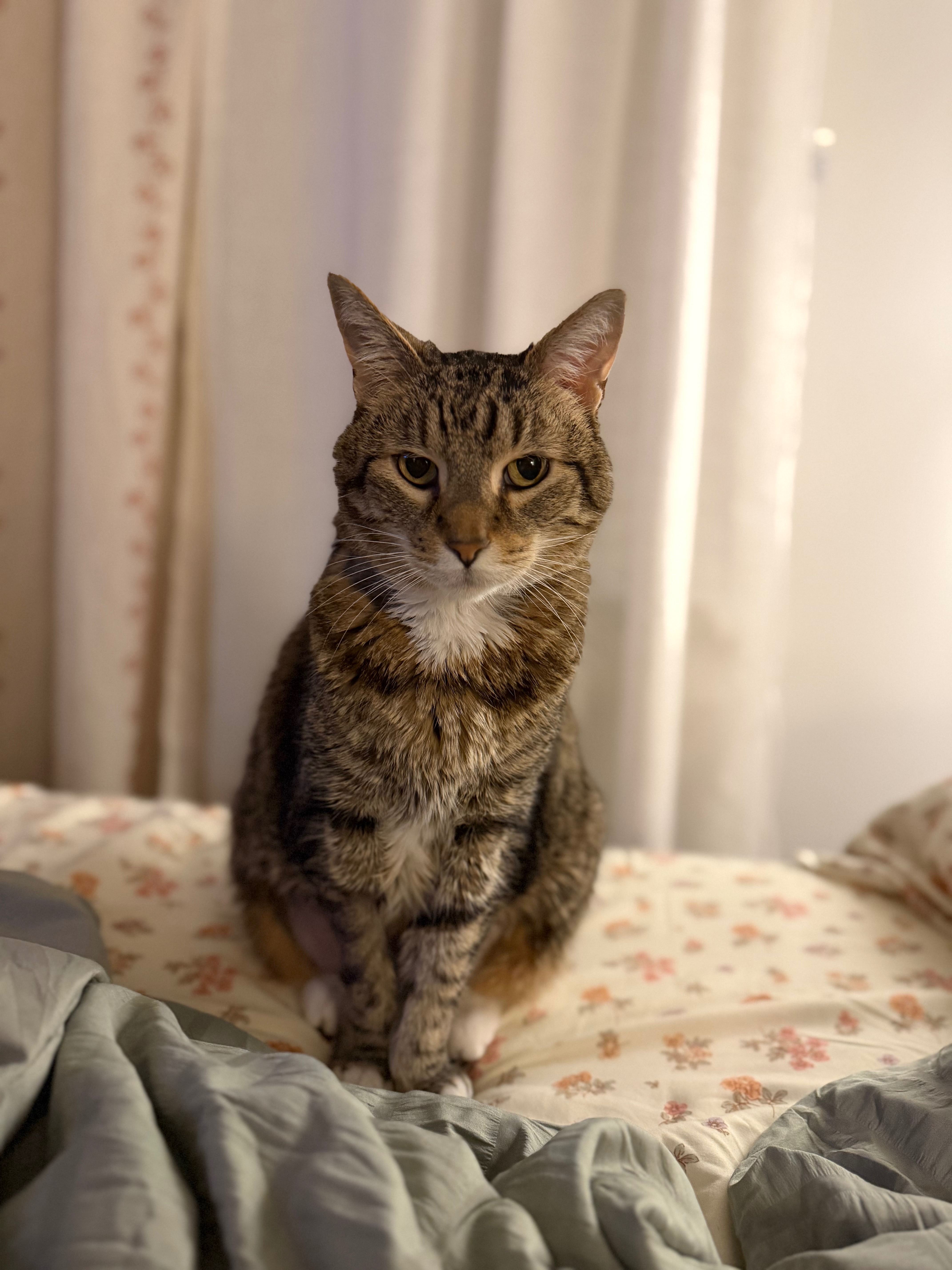 Standing by Titus in His Time of Need campaign photo, 4 of 7