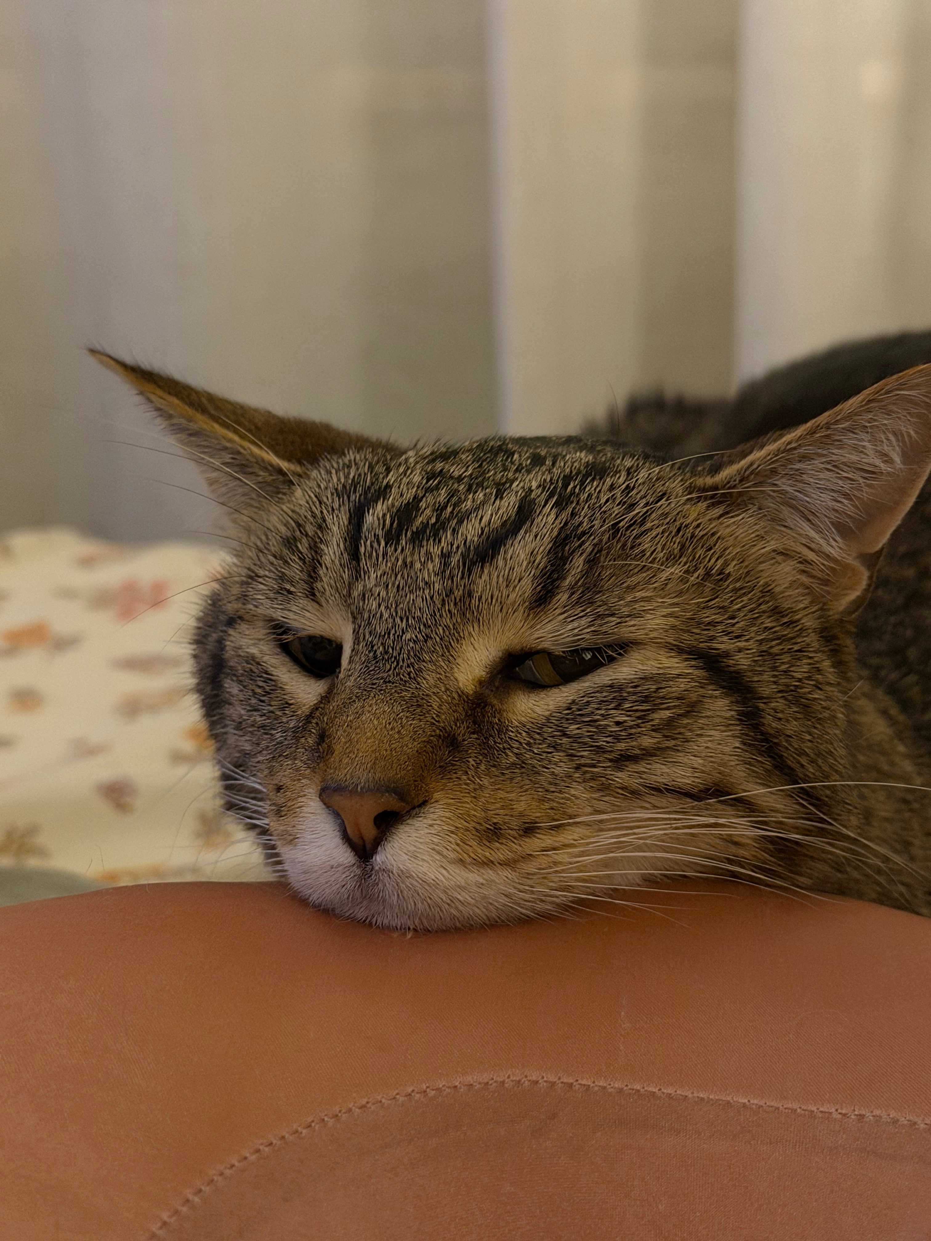 Standing by Titus in His Time of Need campaign photo, 5 of 7