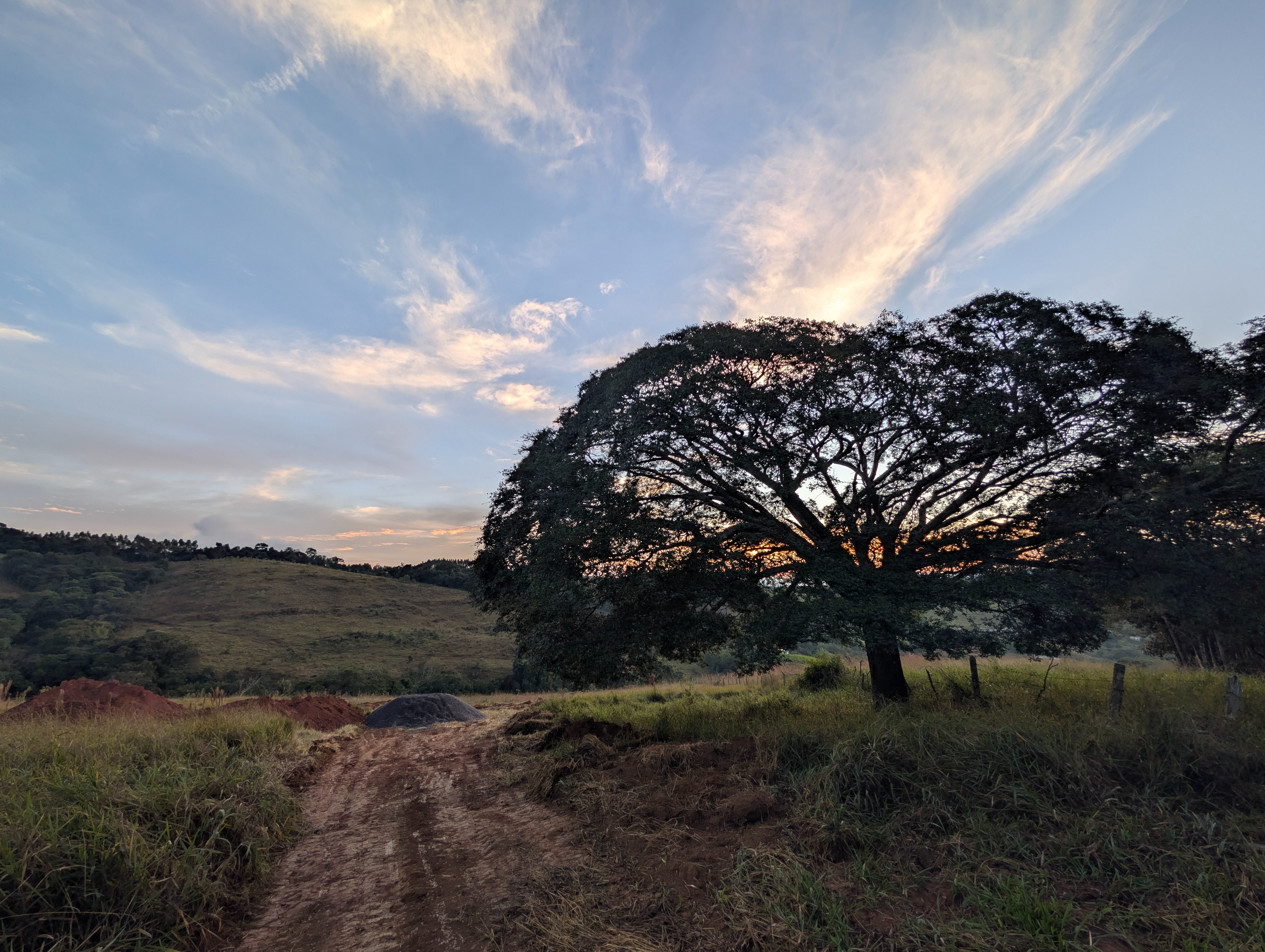 Yuxibu’s Land creating a Free Earth Sanctuary & Food Forest campaign photo, 4 of 7