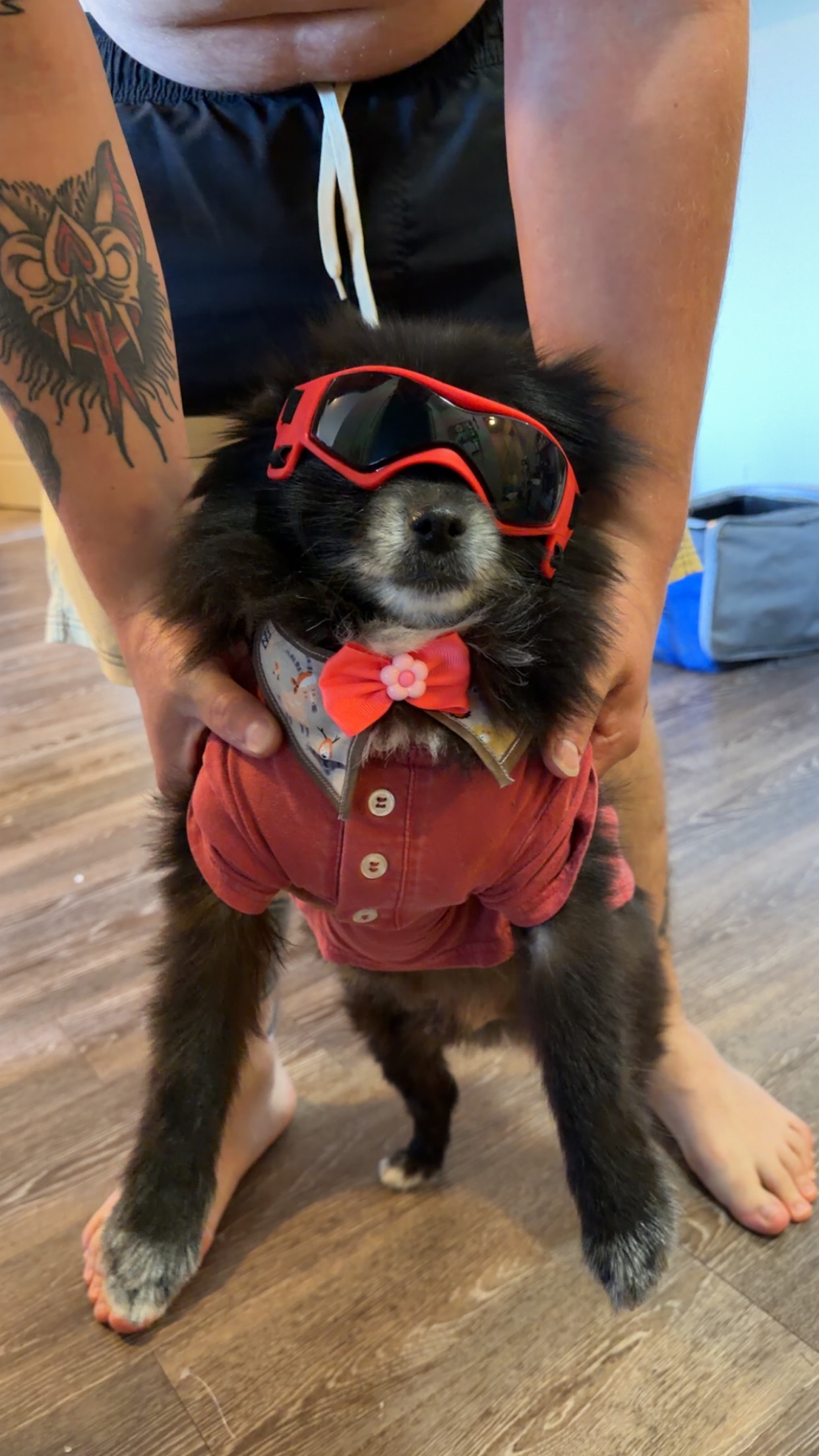 Support Titus's Urgent Surgery Needs campaign photo, 4 of 6