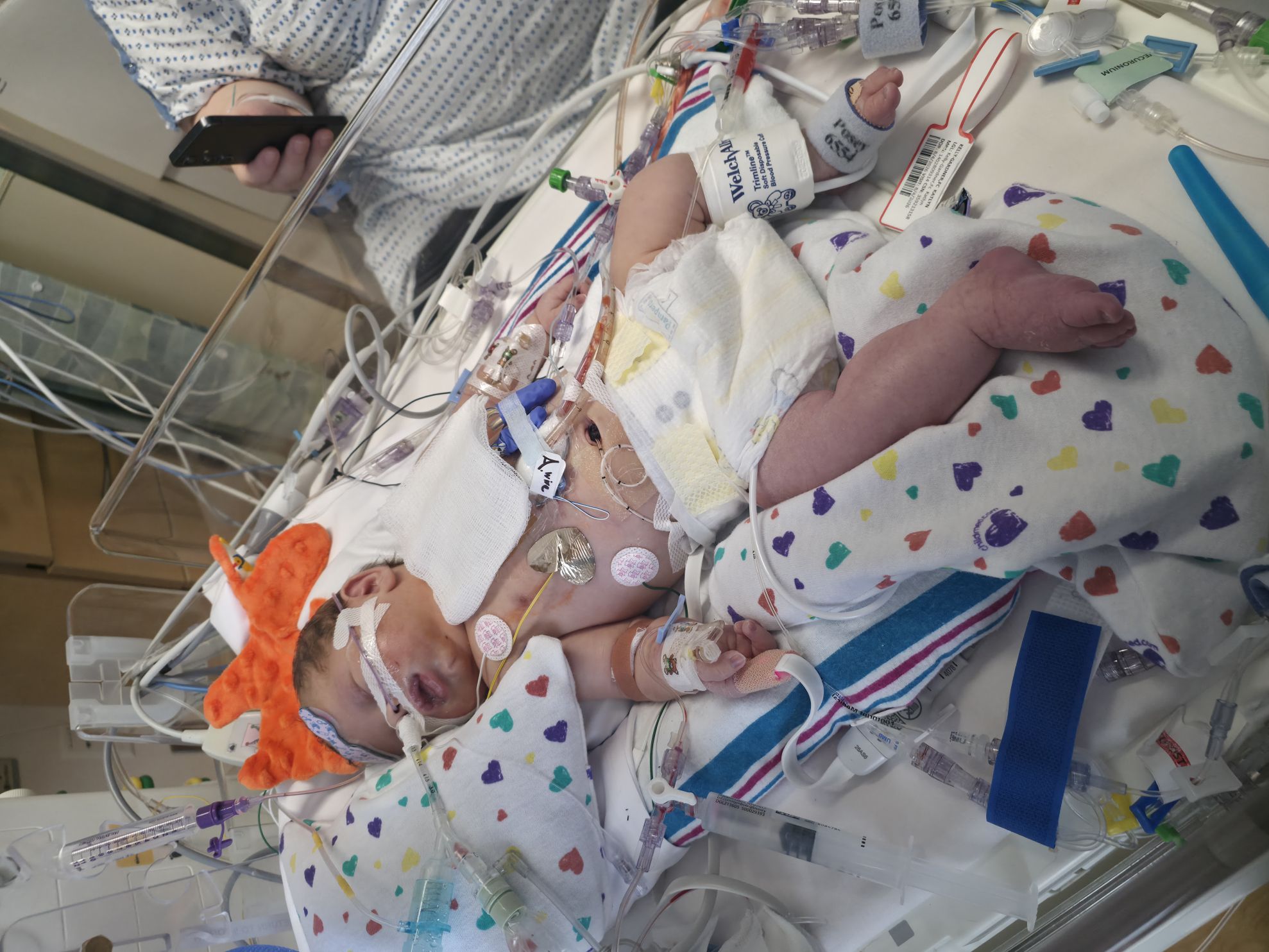 Help Angel Fight Hypoplastic Left Heart Syndrome campaign photo, 4 of 11