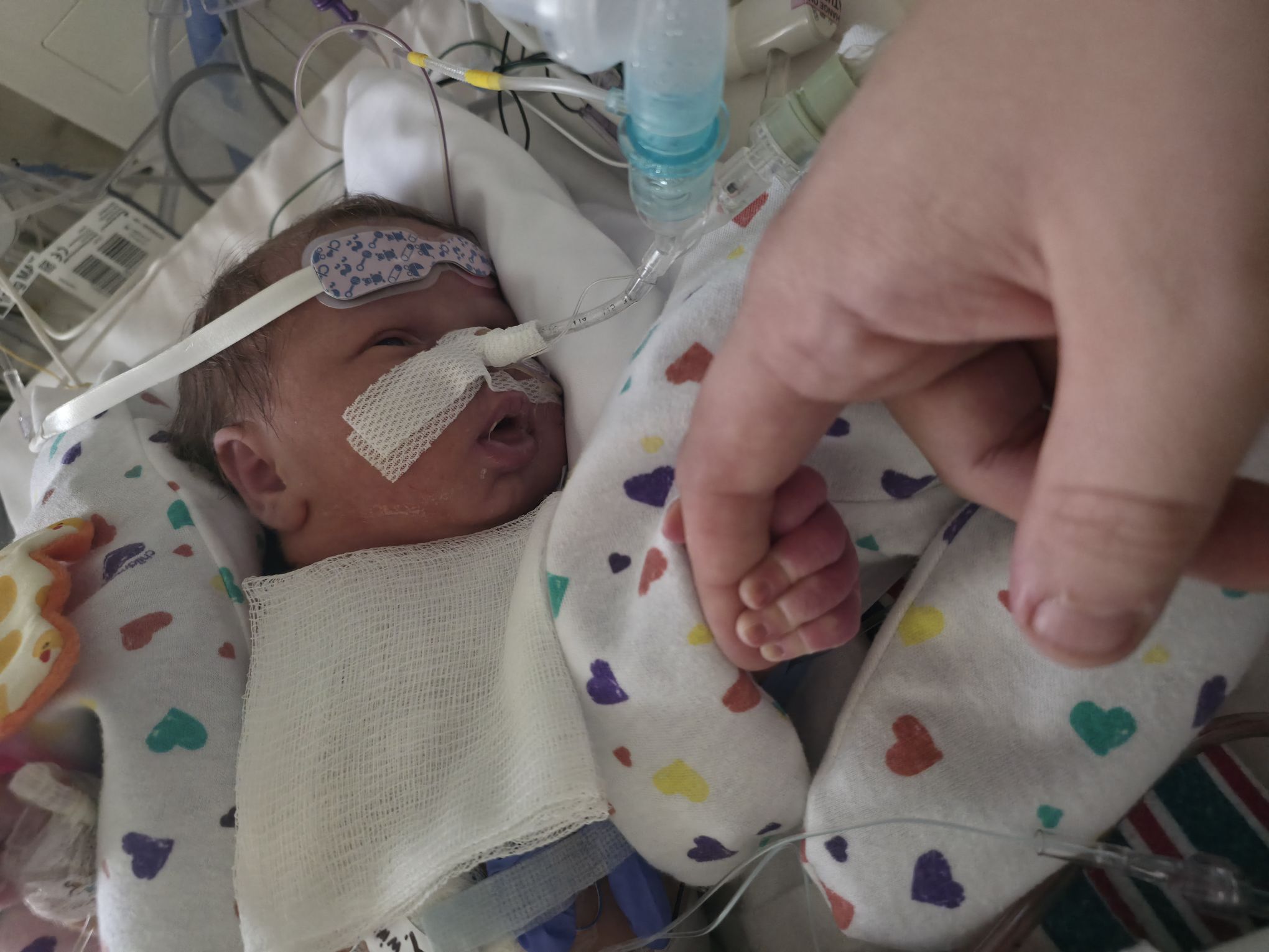 Help Angel Fight Hypoplastic Left Heart Syndrome campaign photo, 9 of 11