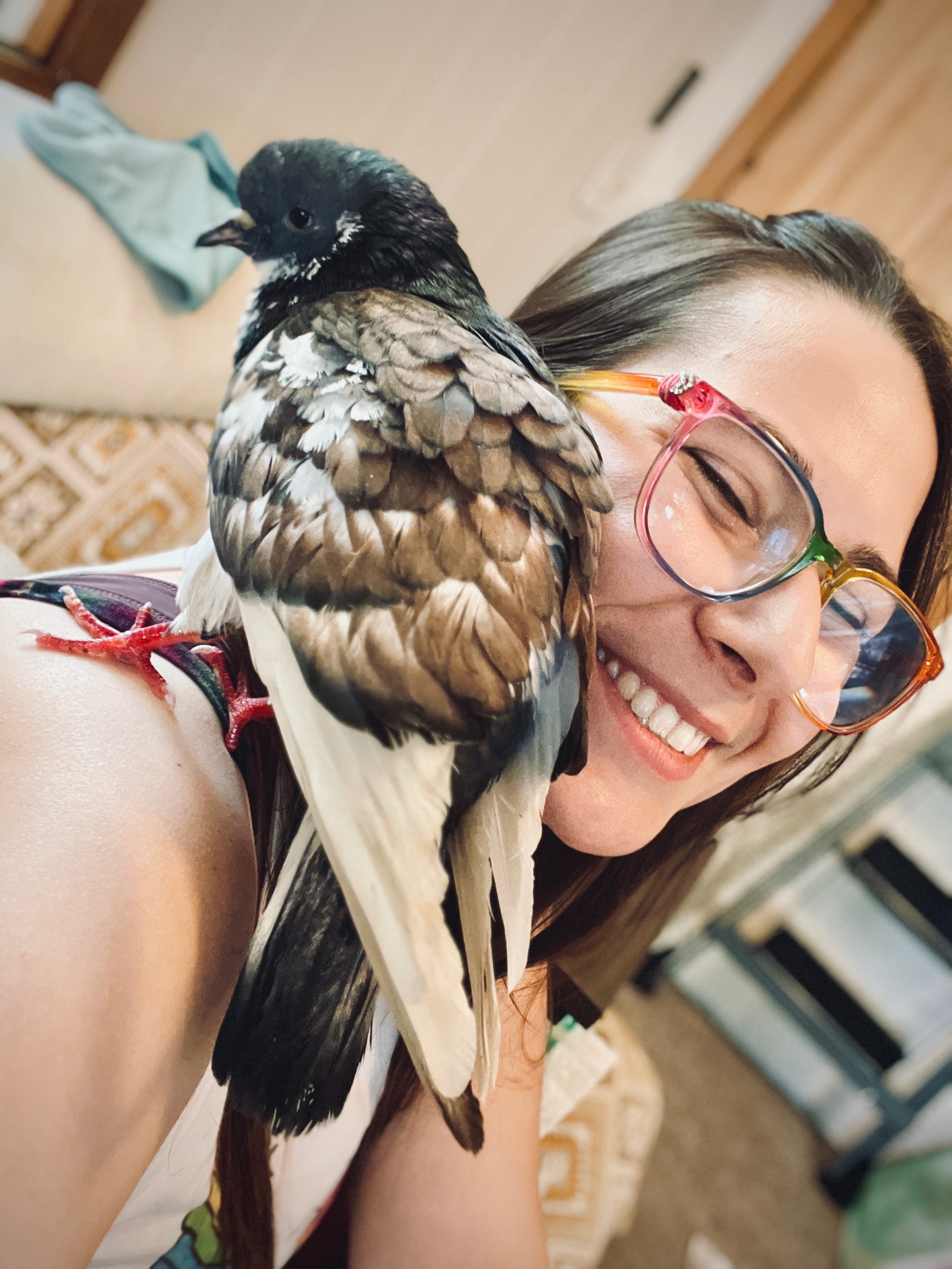 Contribute to Miracle the Pigeon's Healing Journey $350 left campaign photo, 6 of 8