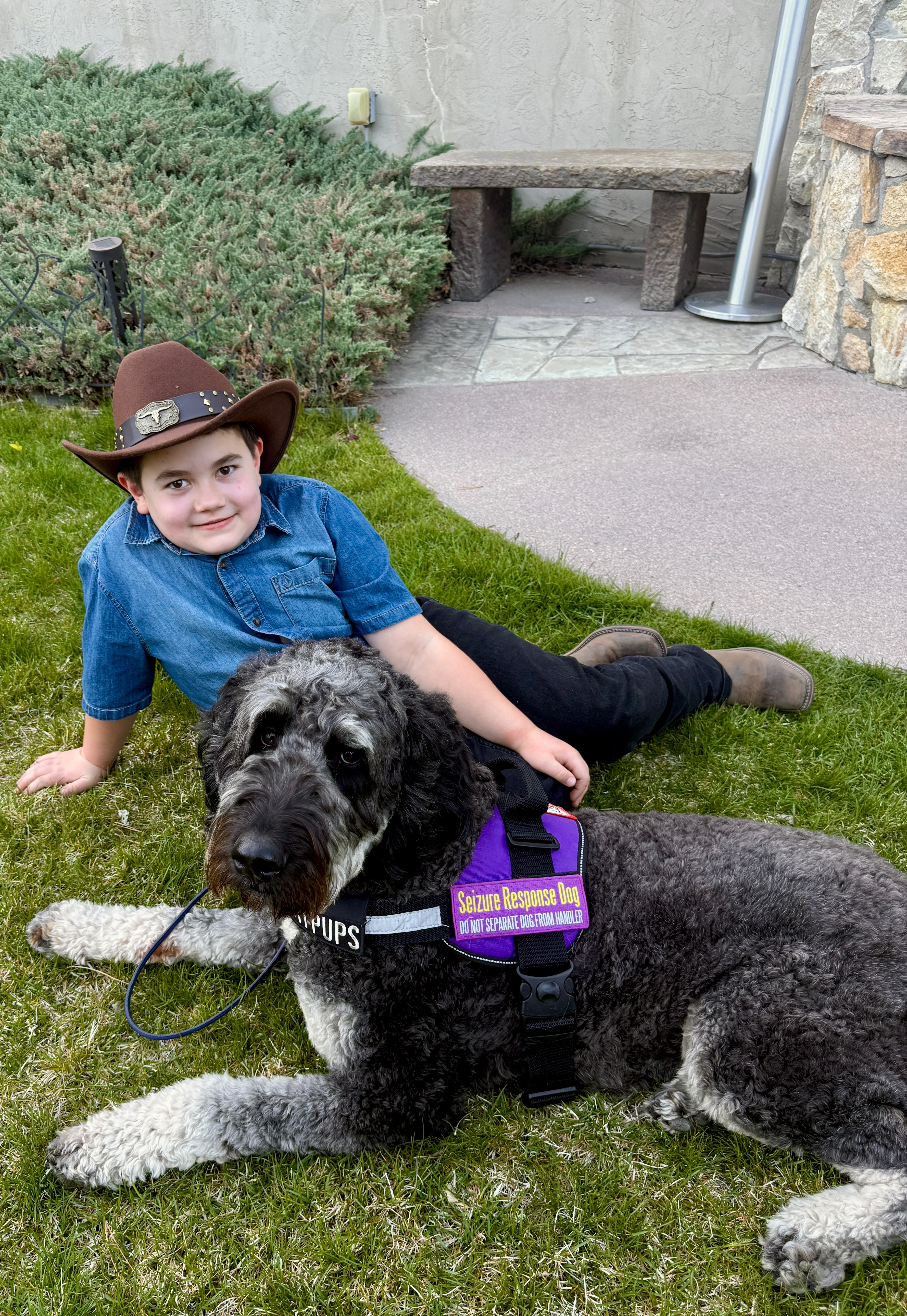 A Life Changing Service Dog for Wesley campaign photo, 5 of 8