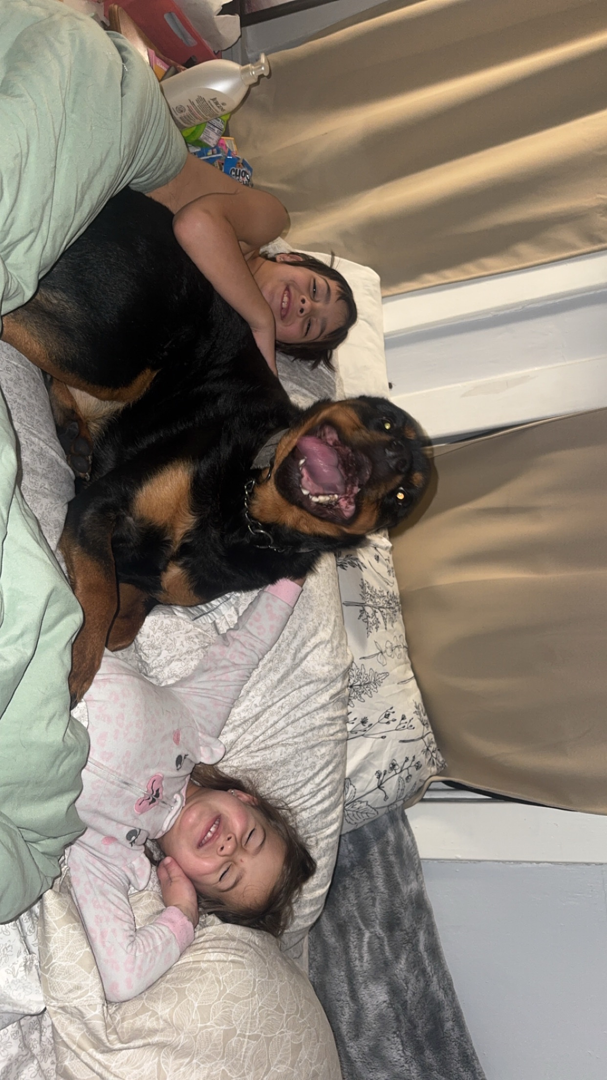 Help King Recover After Tragic Fire campaign photo, 2 of 4