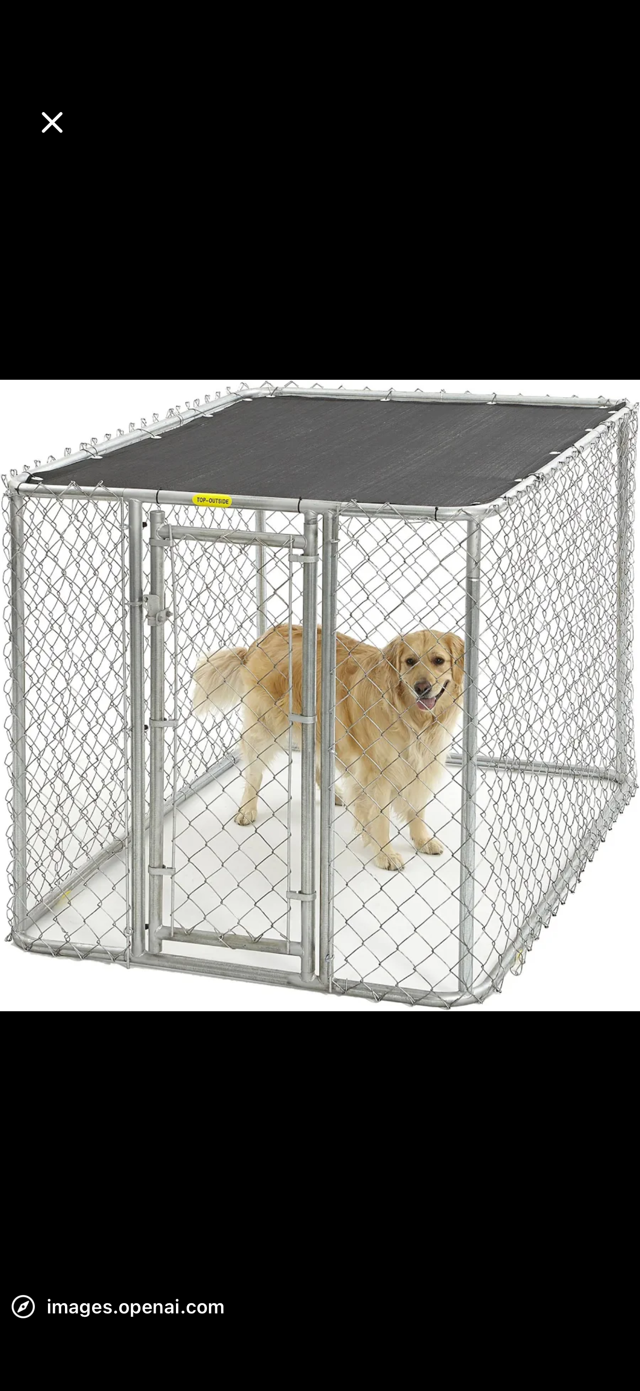 Safe Kennels for My Rescue Dogs campaign photo, 2 of 5
