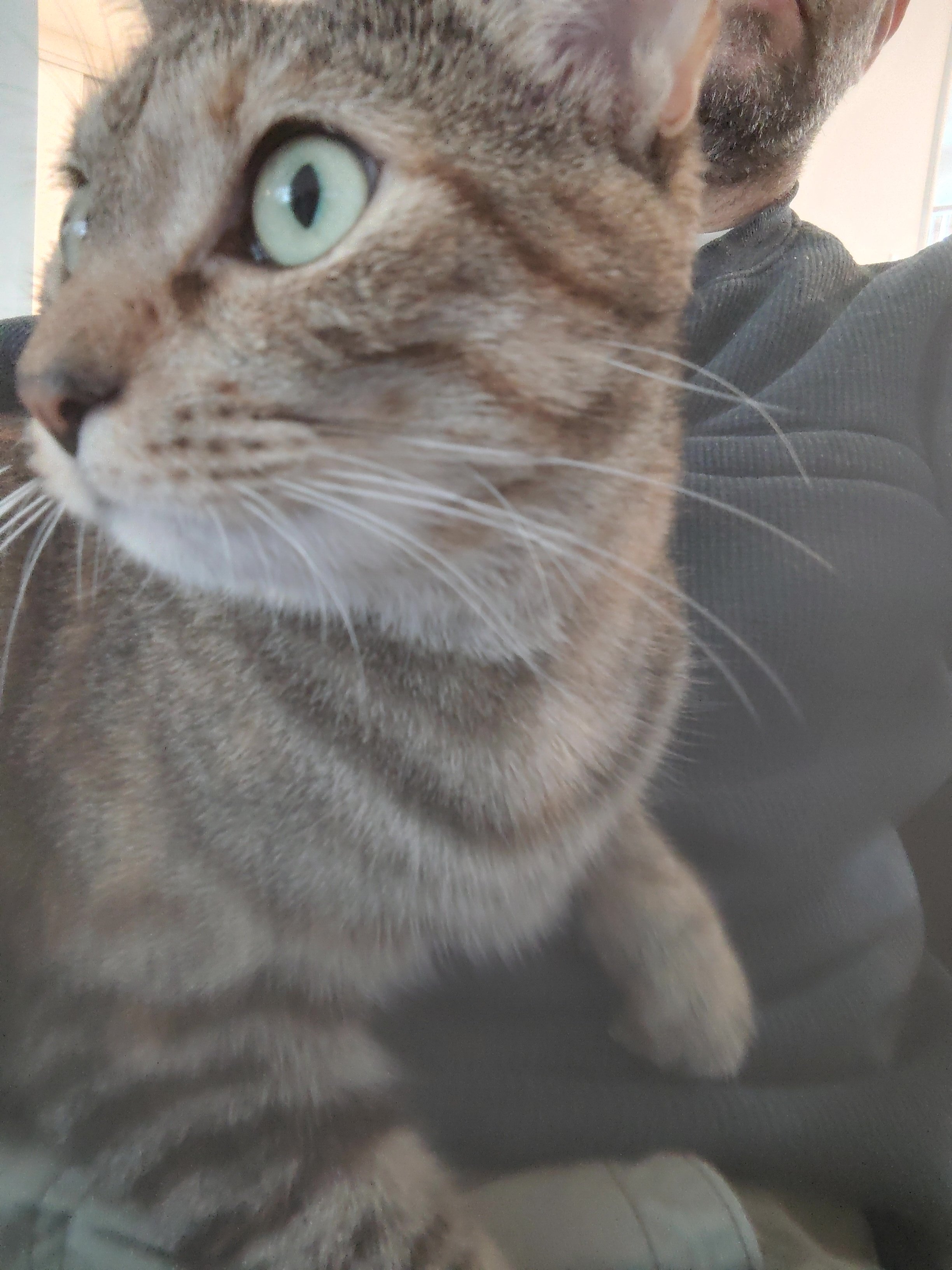 Help Minka Get Lifesaving Surgery campaign photo, 5 of 7