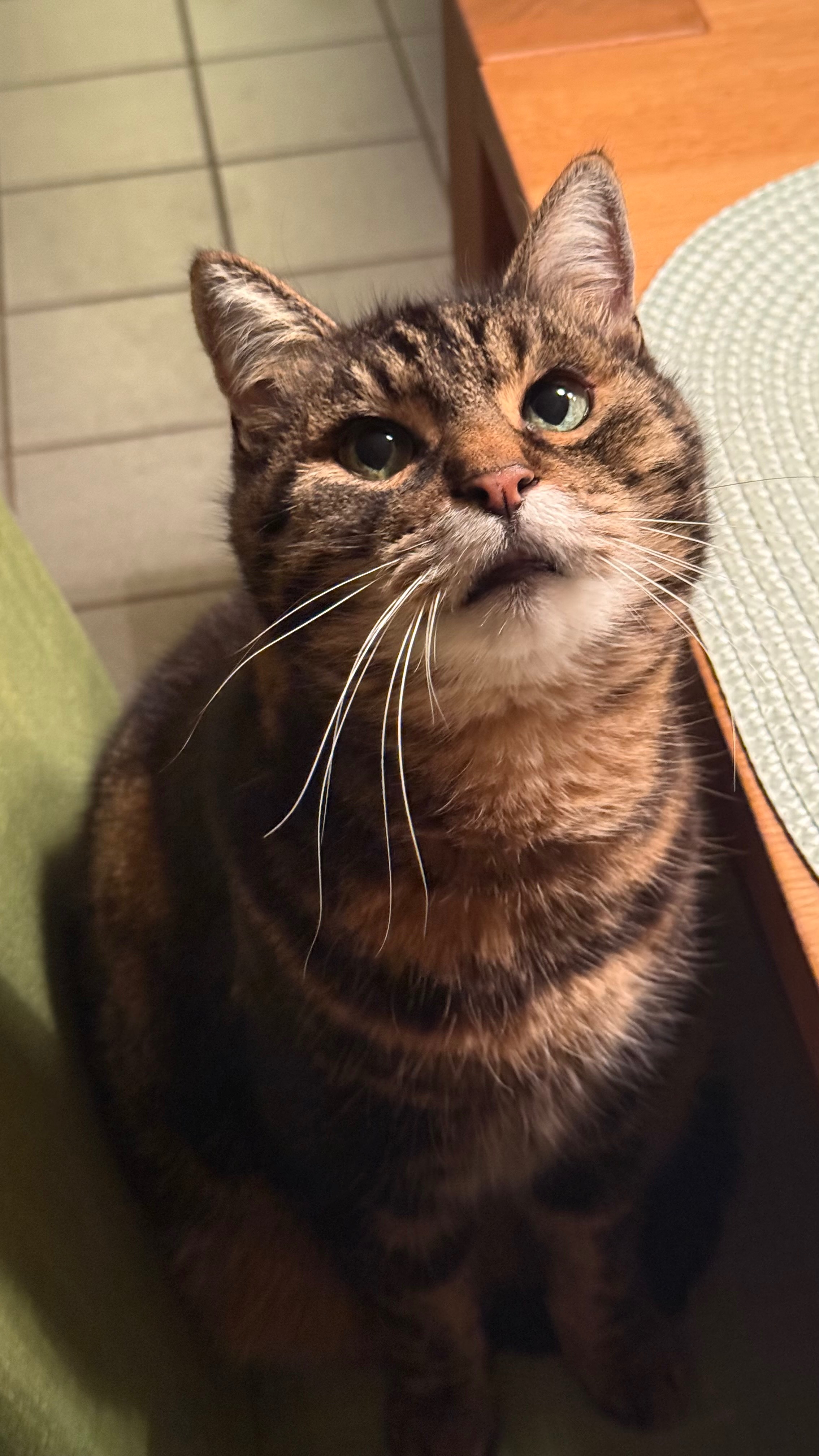Mein bester Freund kämpft ums Überleben campaign photo, 5 of 8
