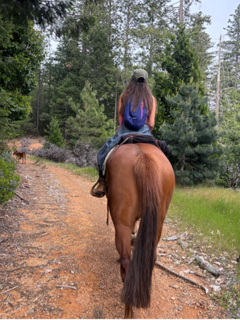Support a journey of relational wisdom: At the Pace of Mule campaign photo, 2 of 7