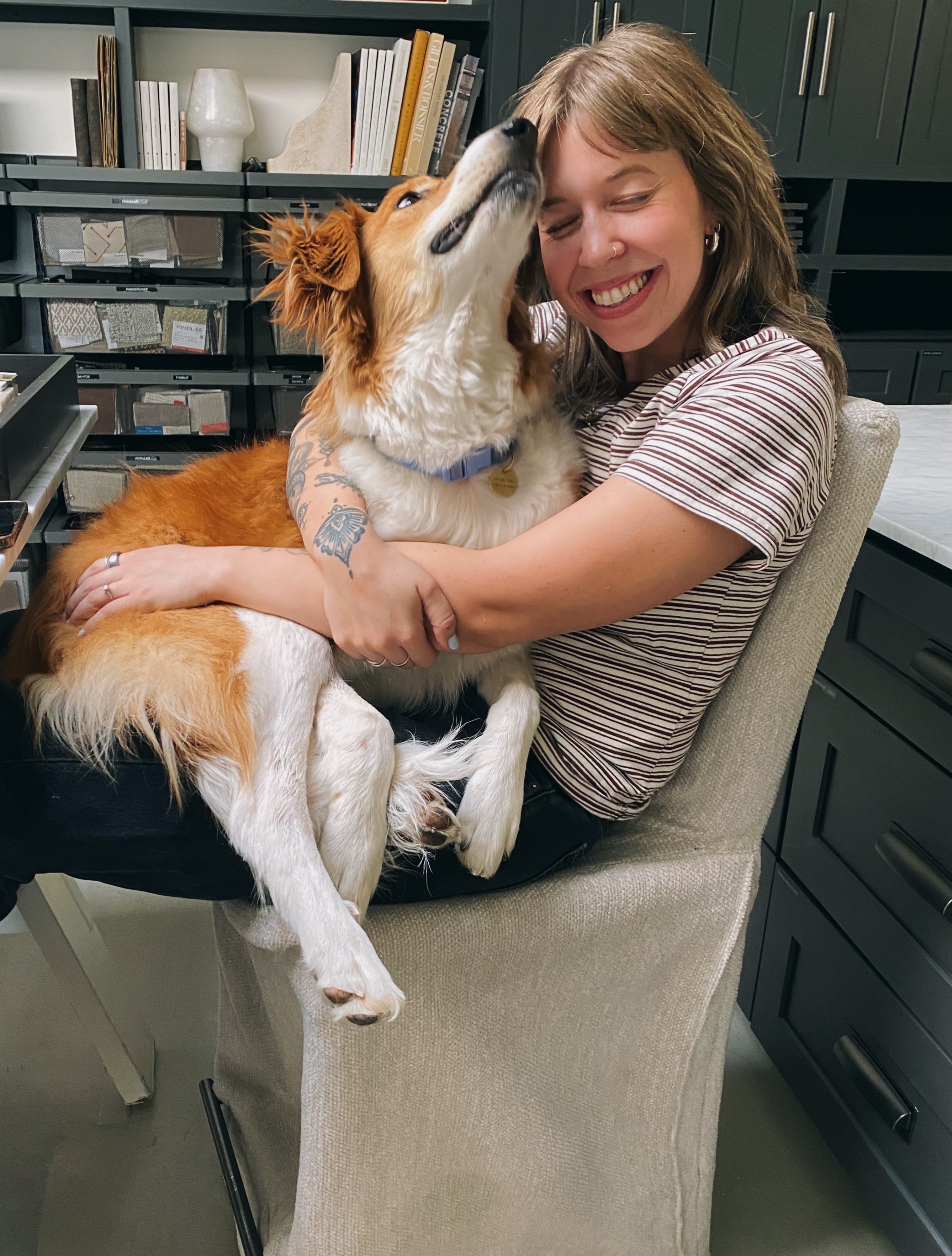 Help Our Rescue Dog Get Surgery campaign photo, 7 of 8