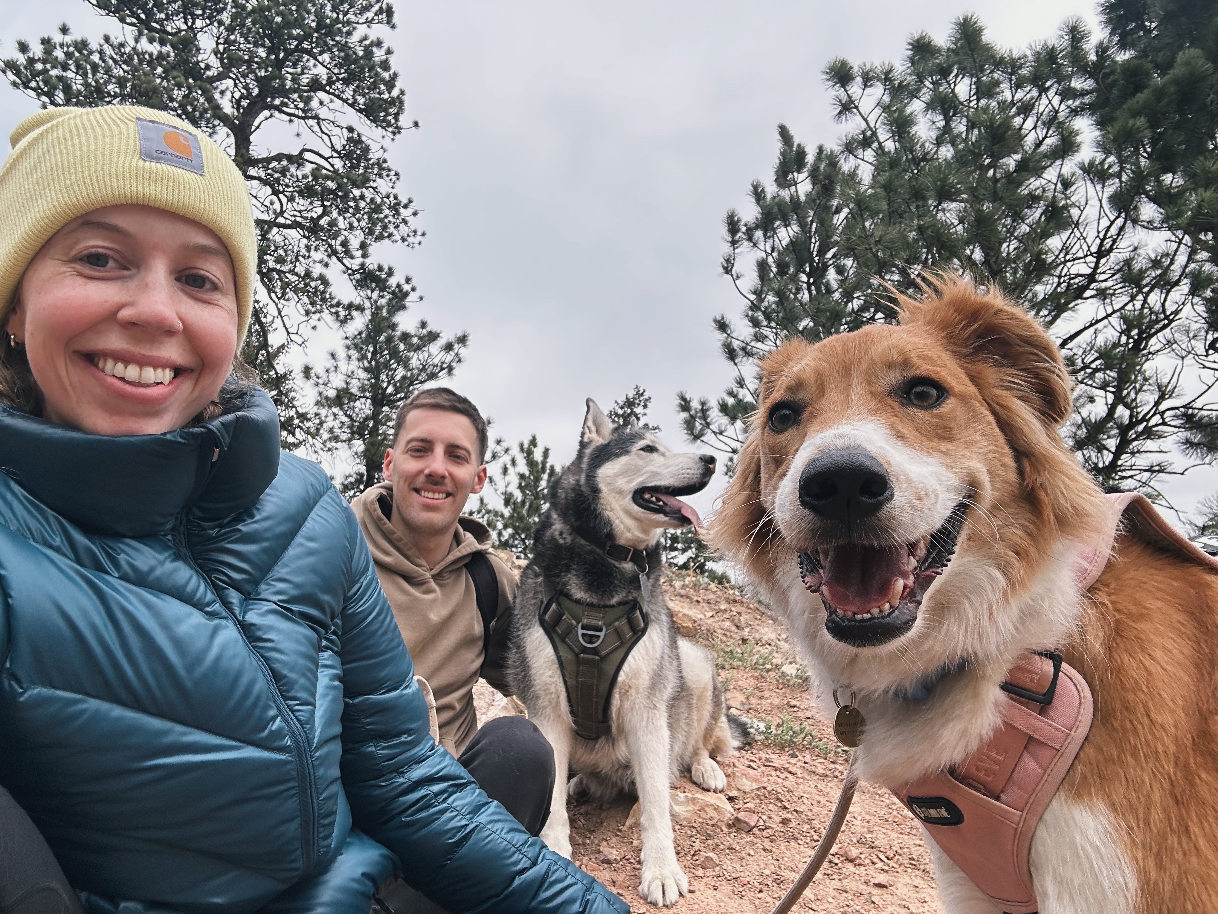 Help Our Rescue Dog Get Surgery campaign photo, 5 of 8