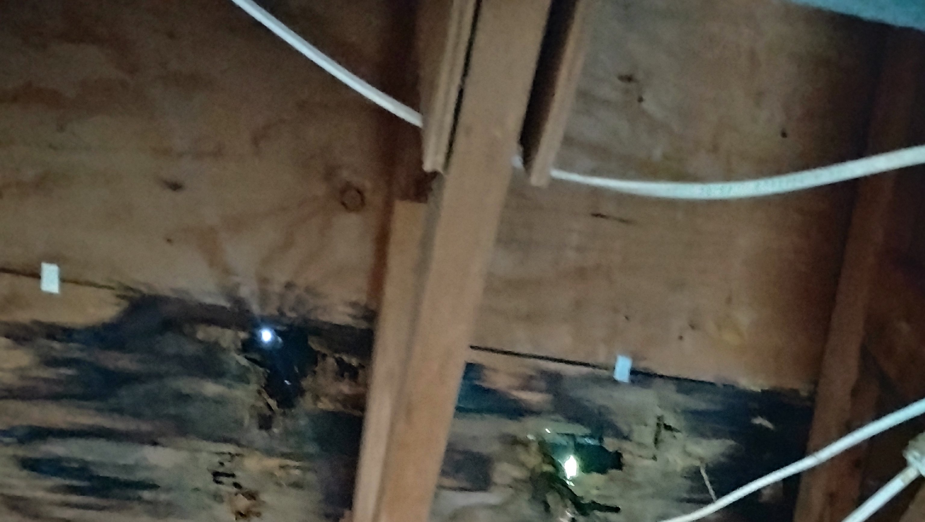 Help Repair and Modernize My Garage photo