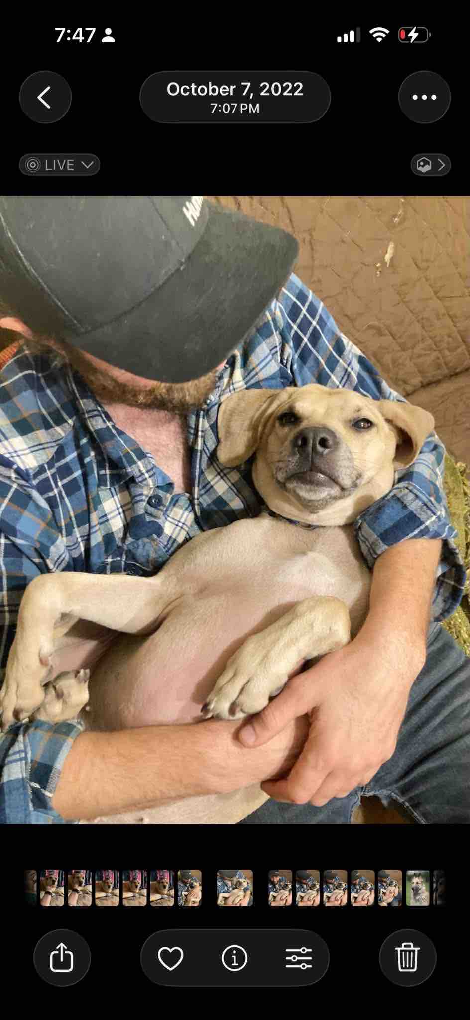 Help Cheddar Walk Again After Tragedy campaign photo, 7 of 8